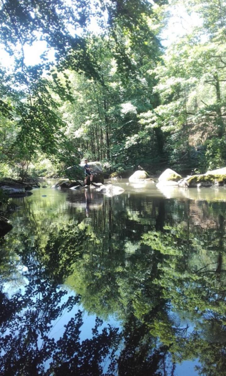 Moulin de Record - Property Image 32