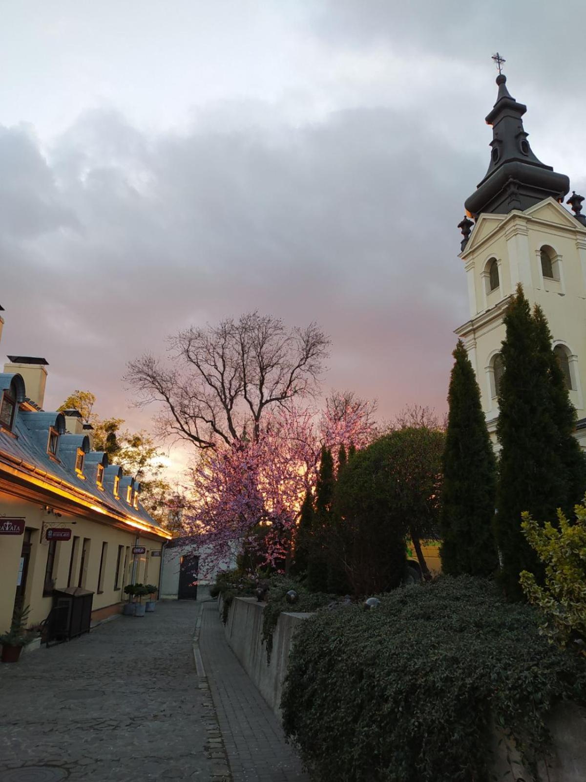 Guest House "Arkhistratyg"