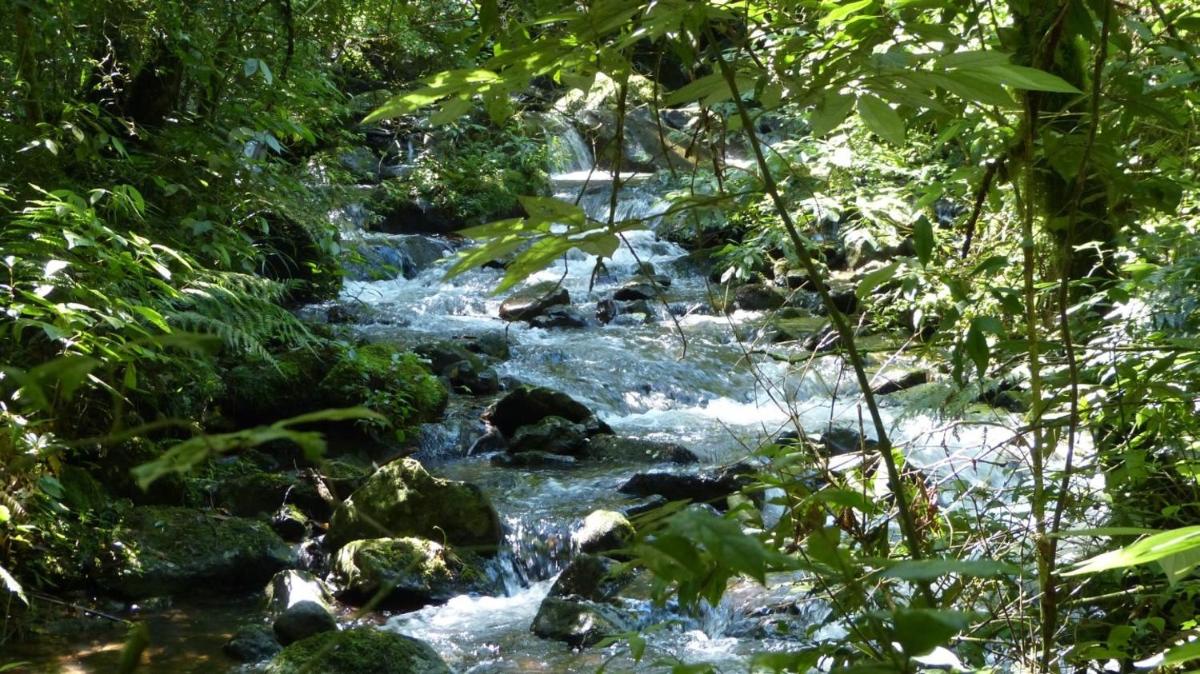 Terra do Sempre - Reserva Ambiental