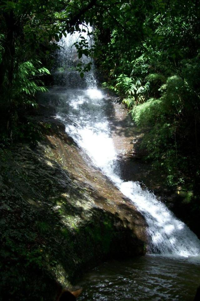 Terra do Sempre - Reserva Ambiental