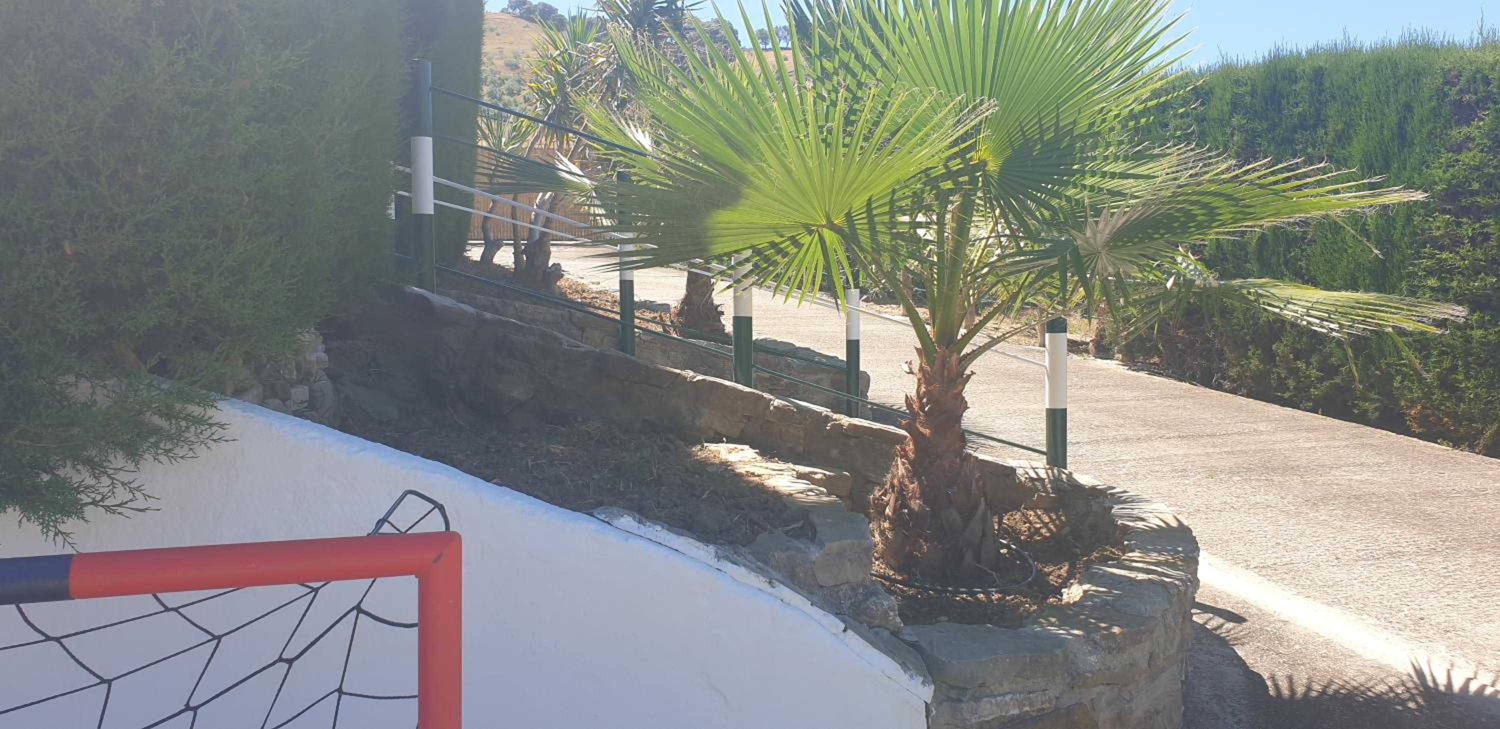 Casa Rural Huerta Vallejo - Property Image 39