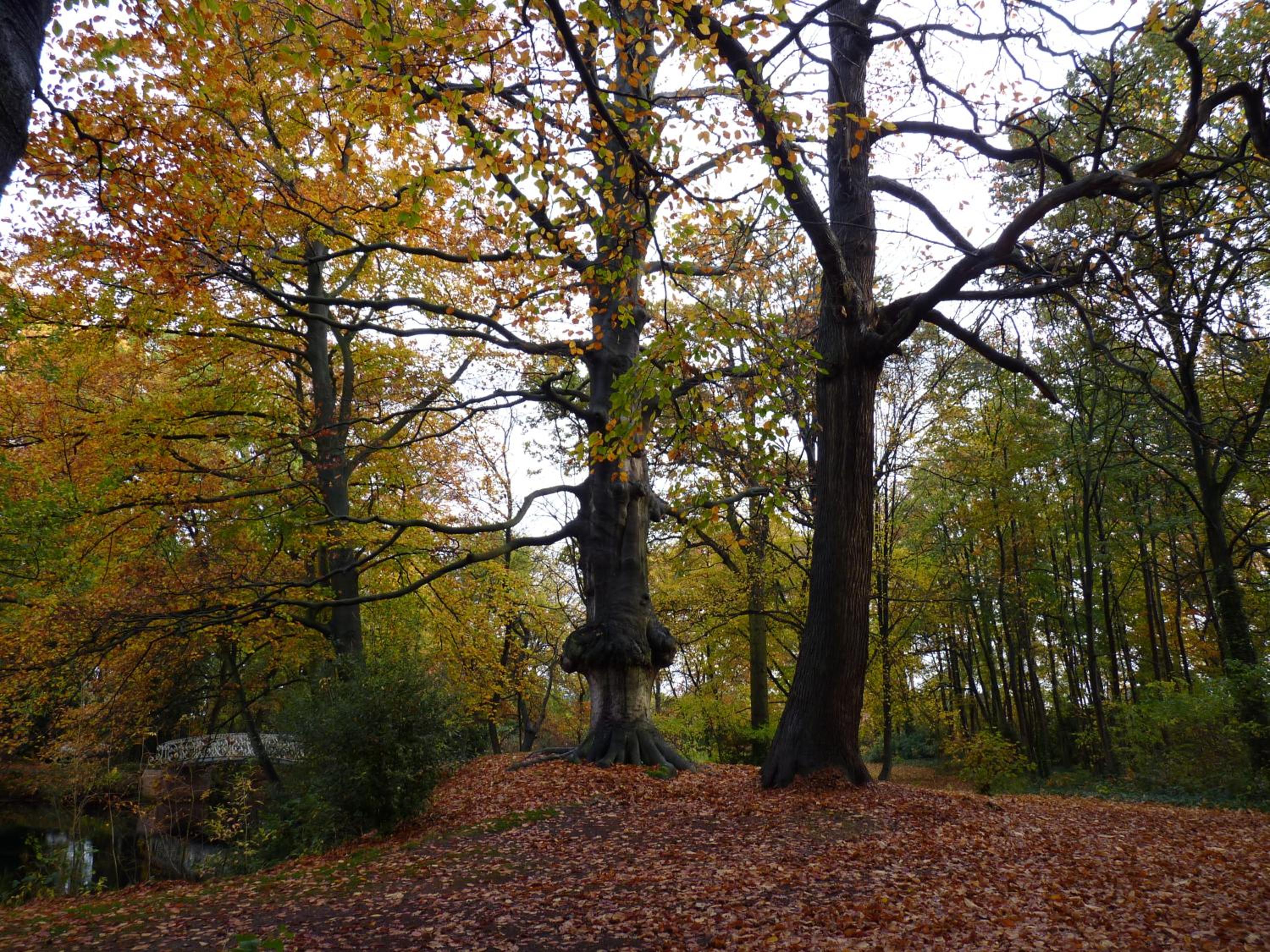 Eremyten Hof