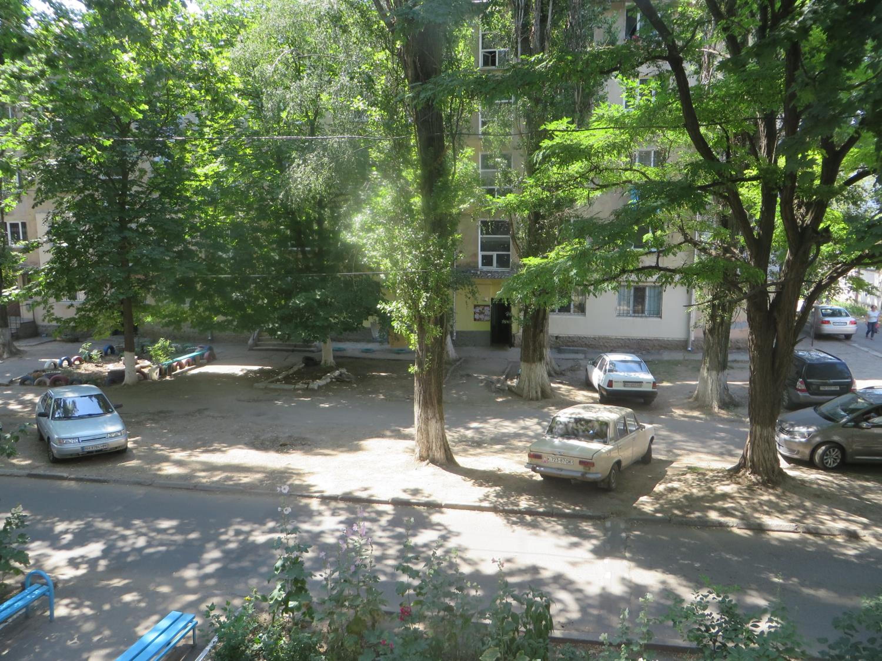 Photo 11