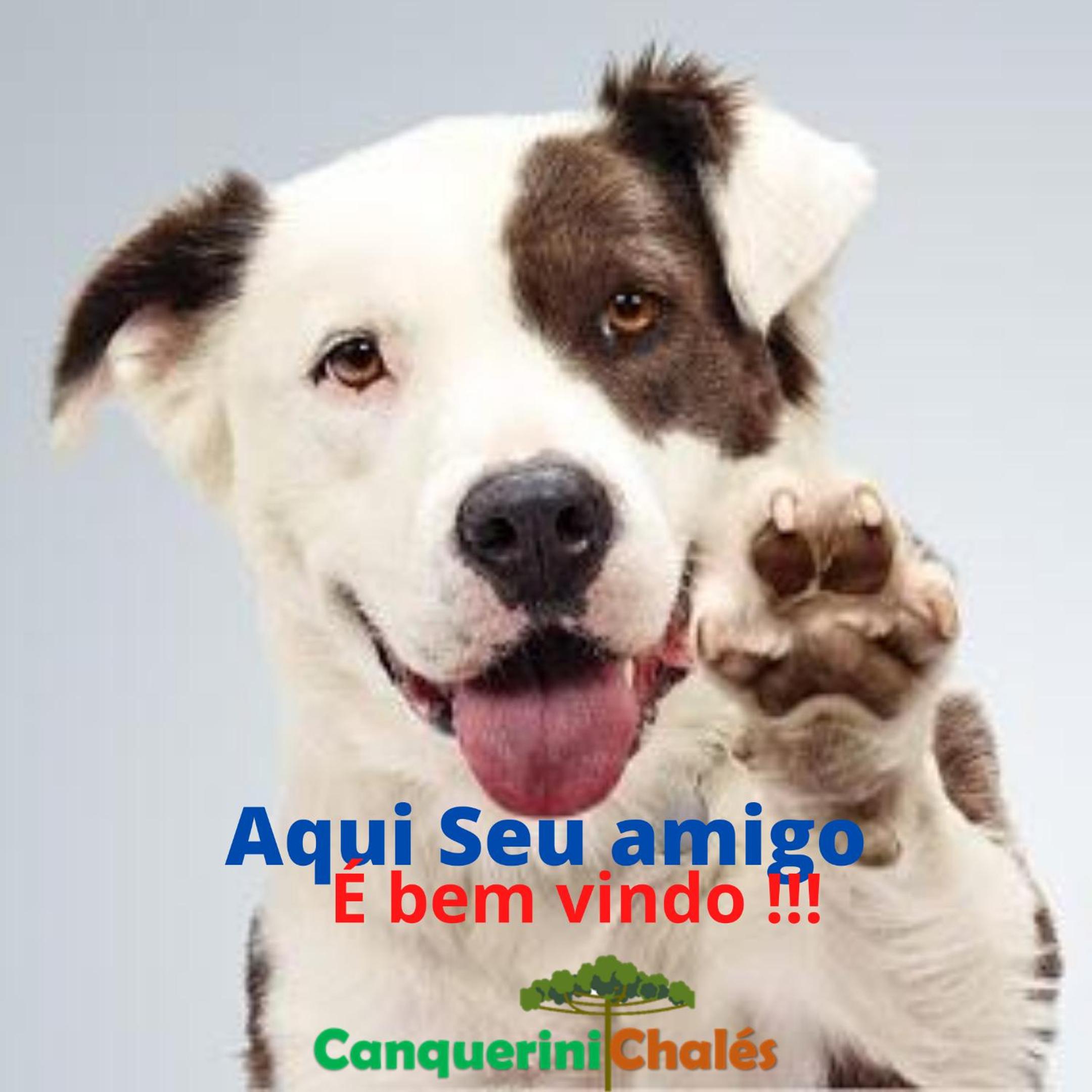 Canquerini Chalés