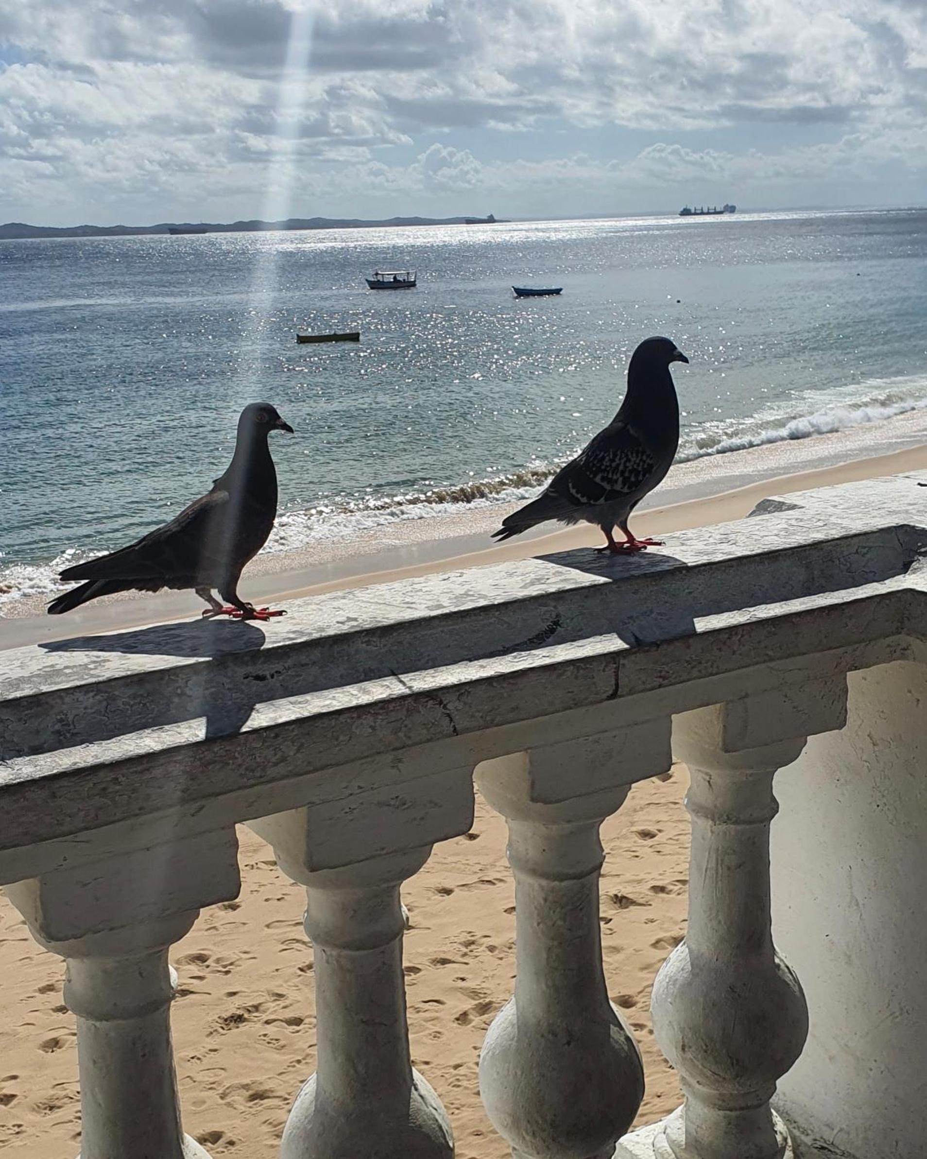 Encantos no Porto da Barra view 2