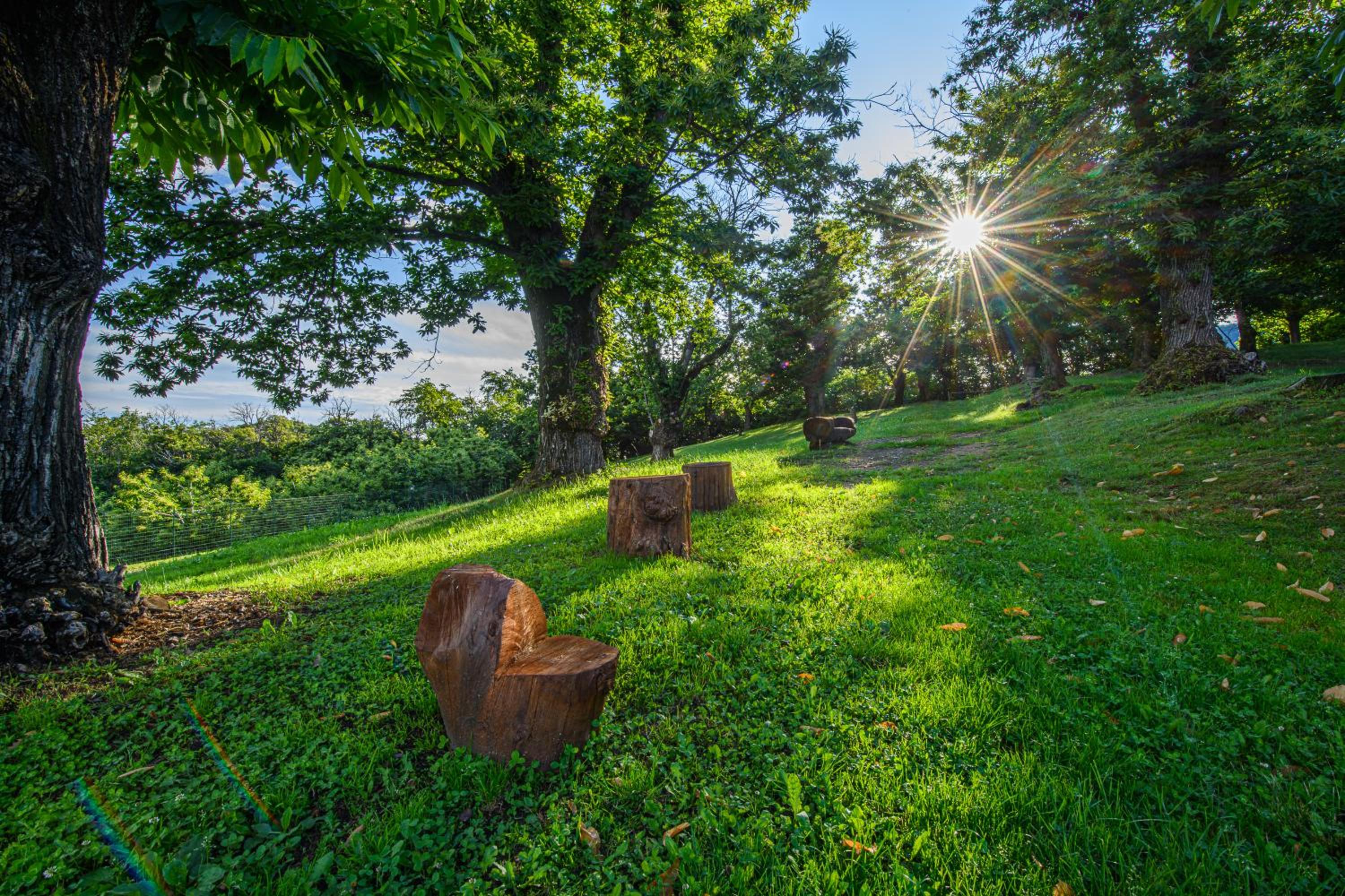 Agriturismo L'Ciabot view 4