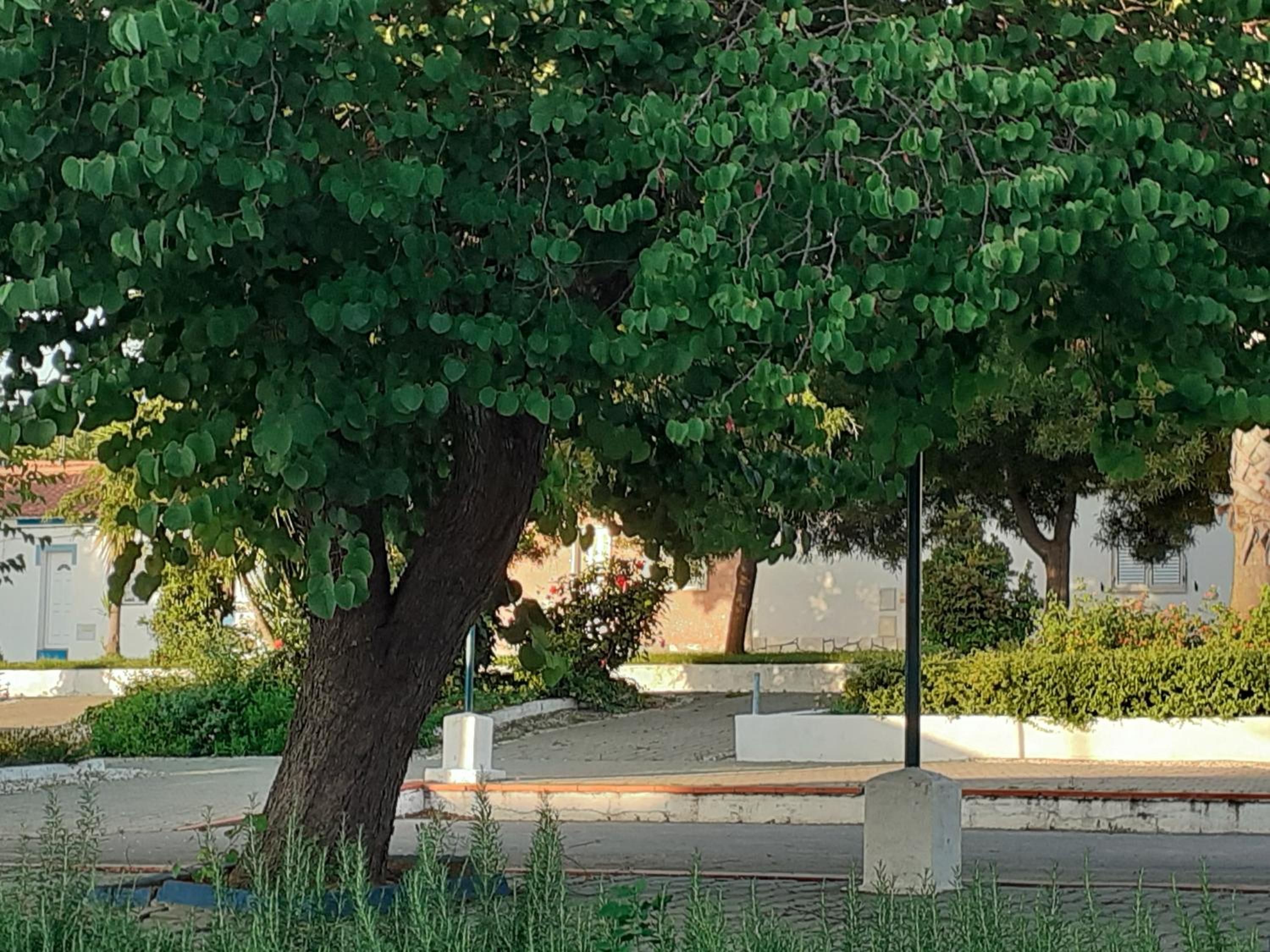 Photo 29
