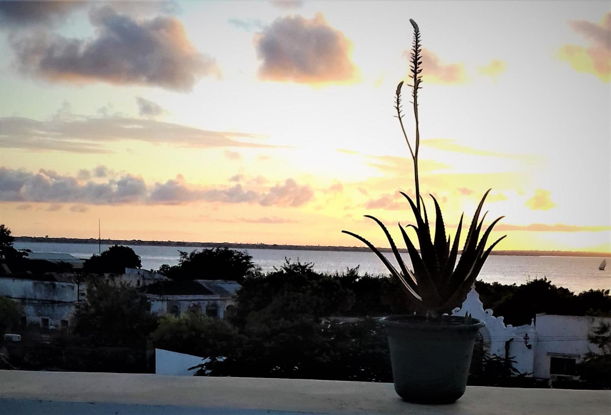 Jardim dos Aloés, Unique B&B - Casa de Charme, photo 48