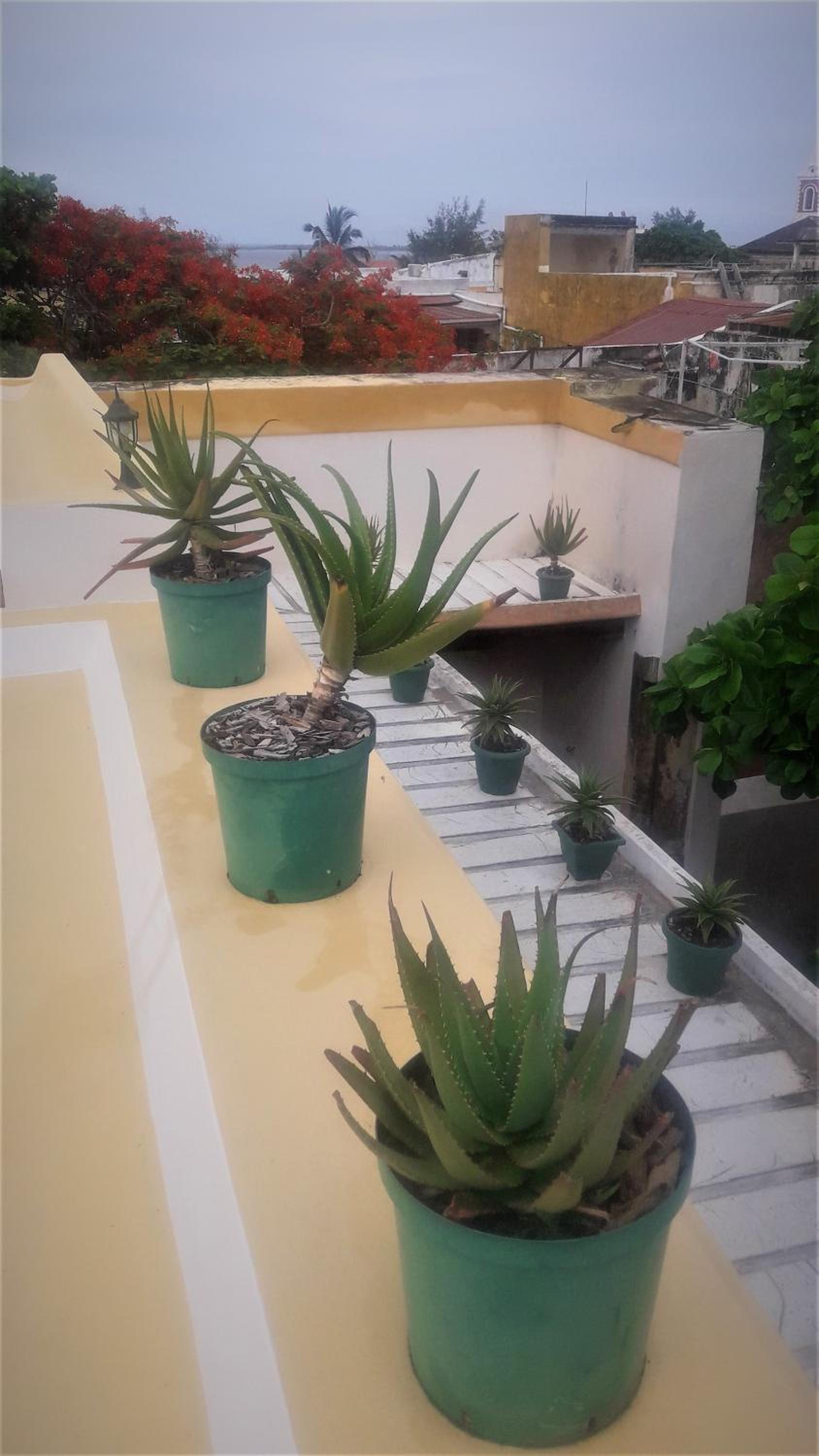 Jardim dos Aloés, Unique B&B - Casa de Charme