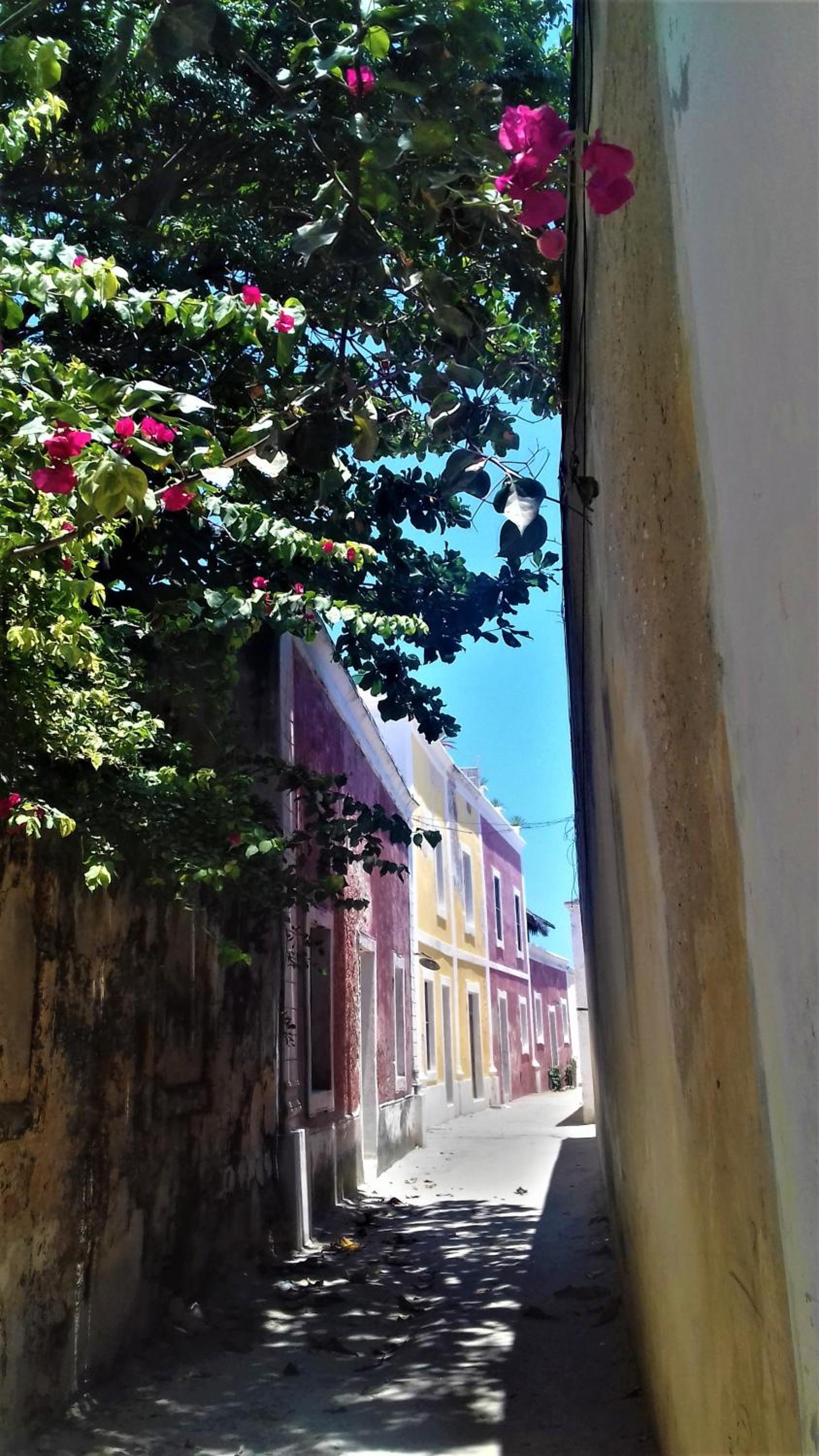 Jardim dos Aloés, Unique B&B - Casa de Charme, photo 11