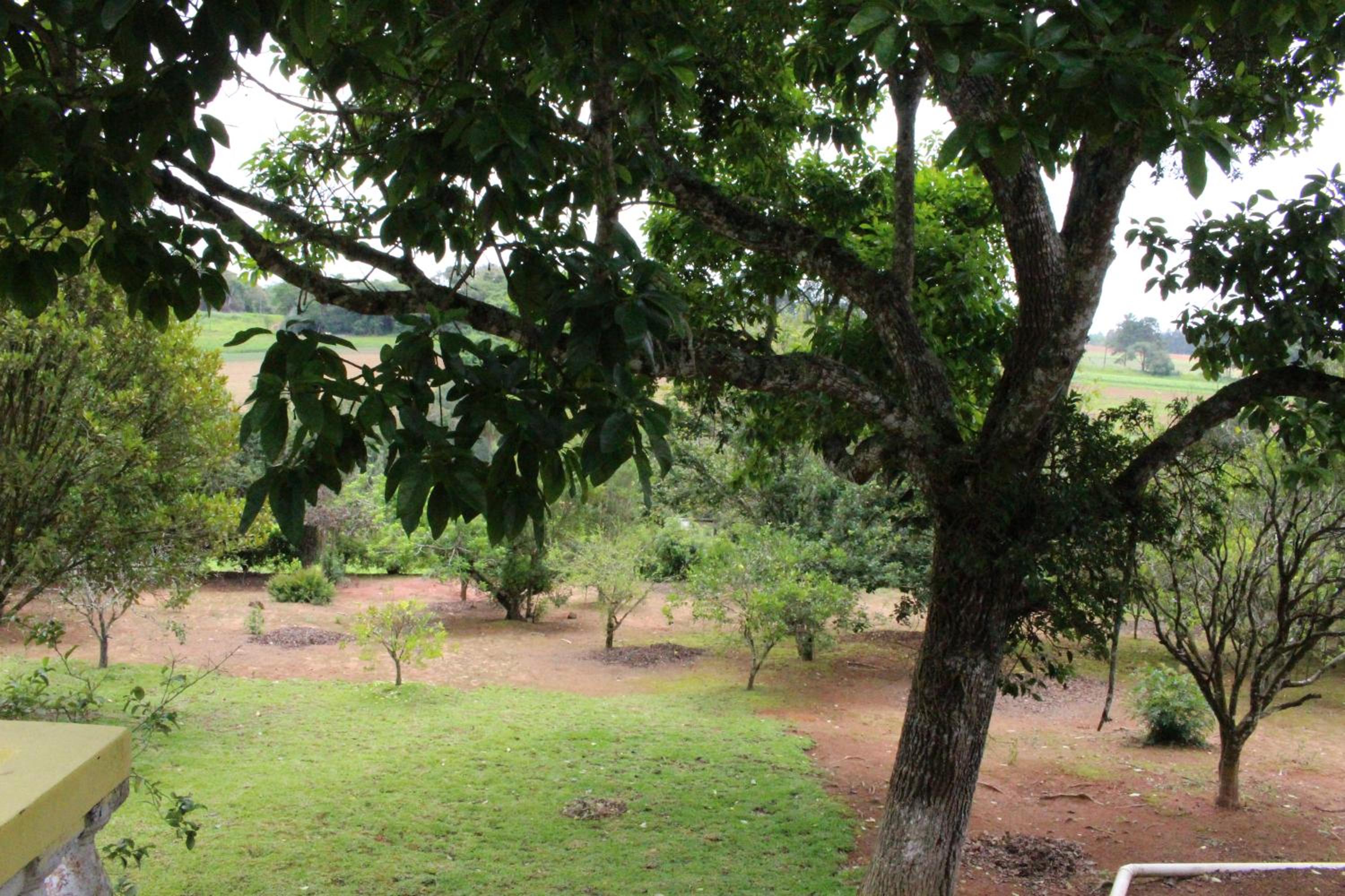 Casa de Campo Lazer Completo Paraíso de Reservas Naturais em Sp