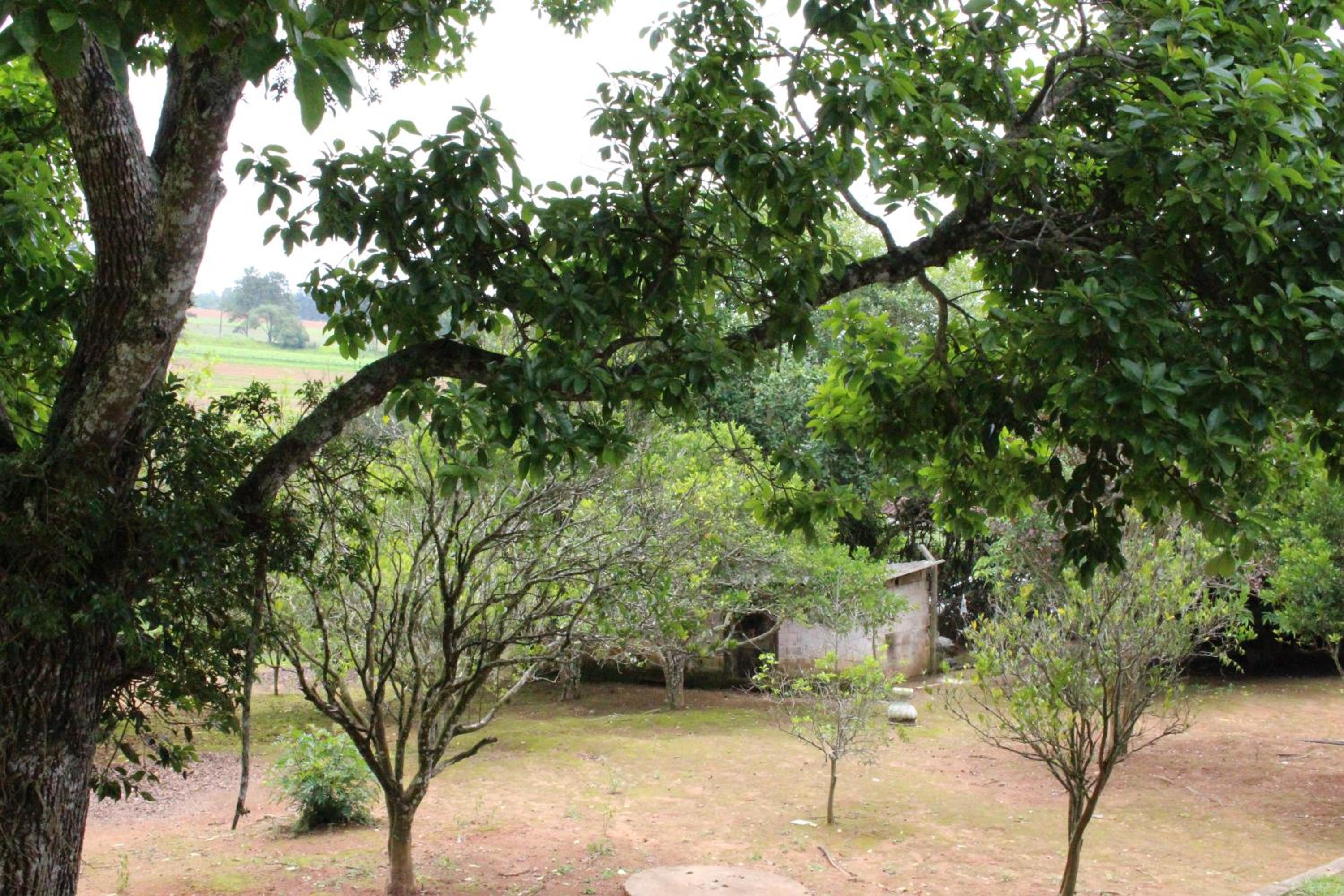 Casa de Campo Lazer Completo Paraíso de Reservas Naturais em Sp