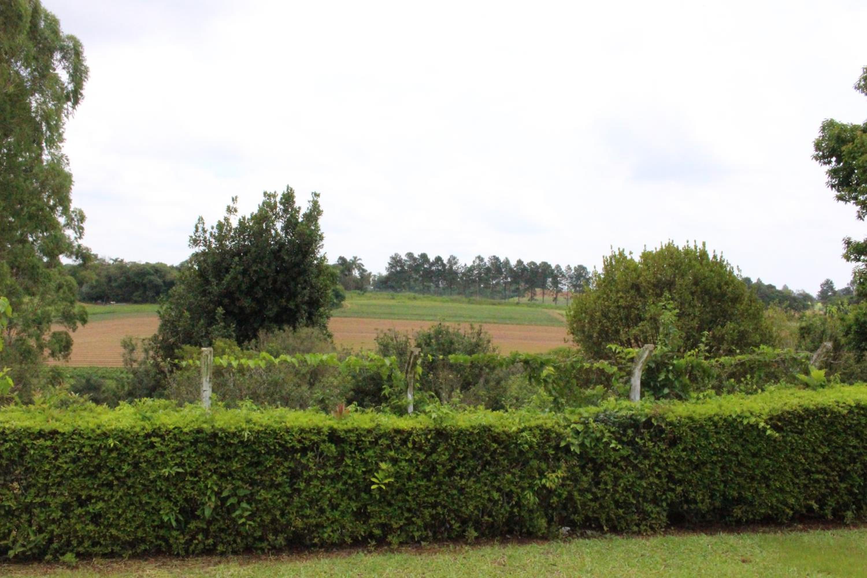 Casa de Campo Lazer Completo Paraíso de Reservas Naturais em Sp