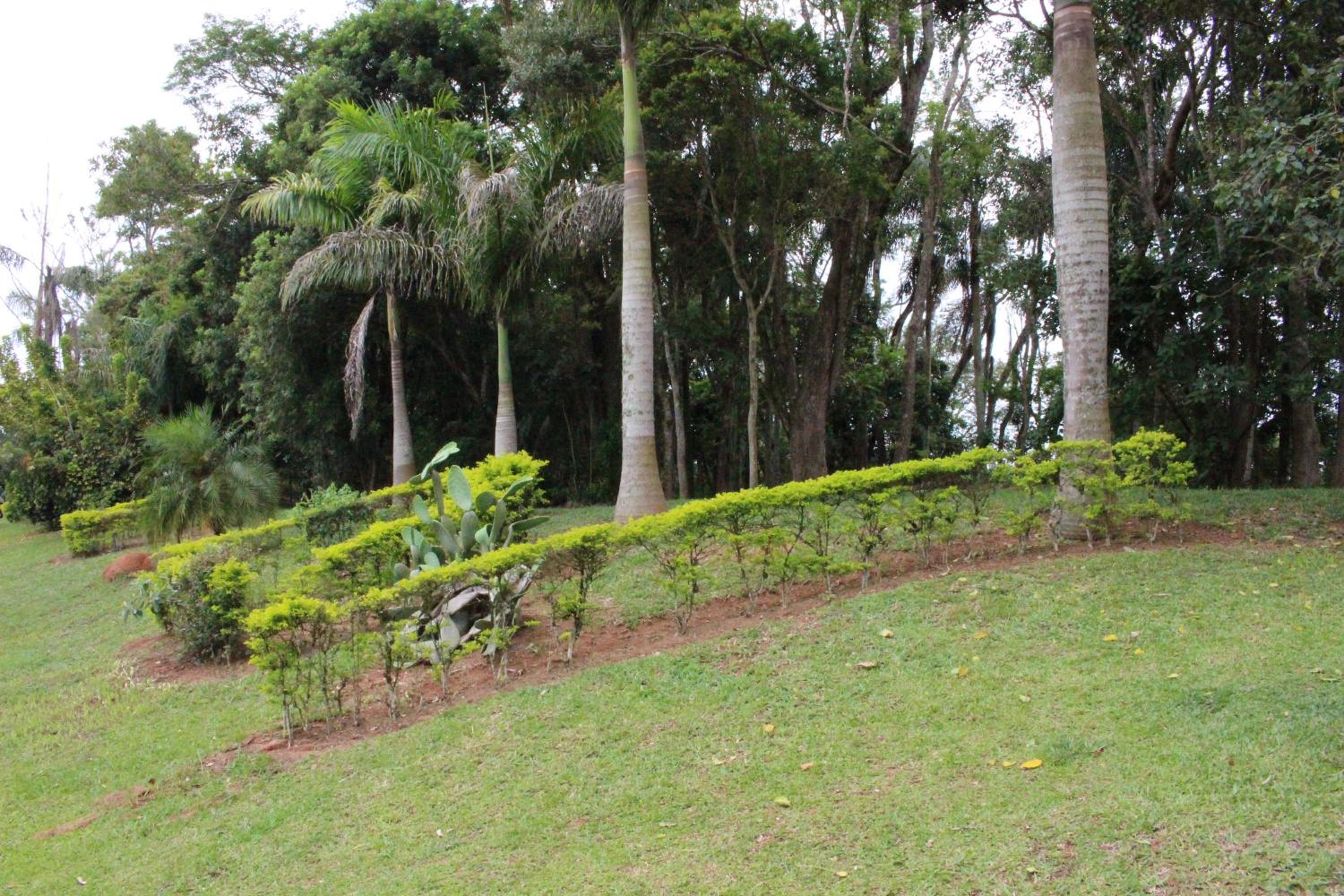 Casa de Campo Lazer Completo Paraíso de Reservas Naturais em Sp