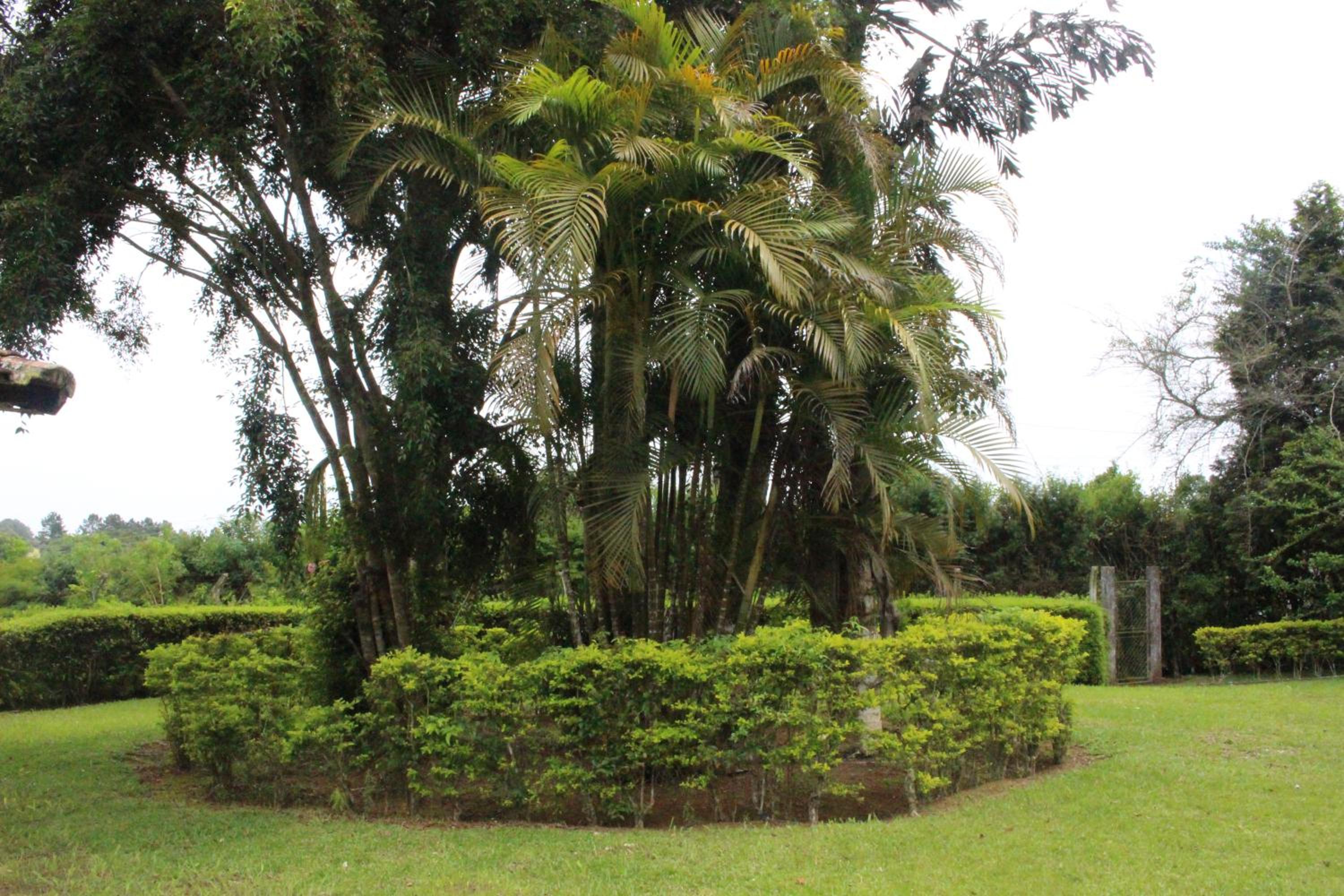 Casa de Campo Lazer Completo Paraíso de Reservas Naturais em Sp