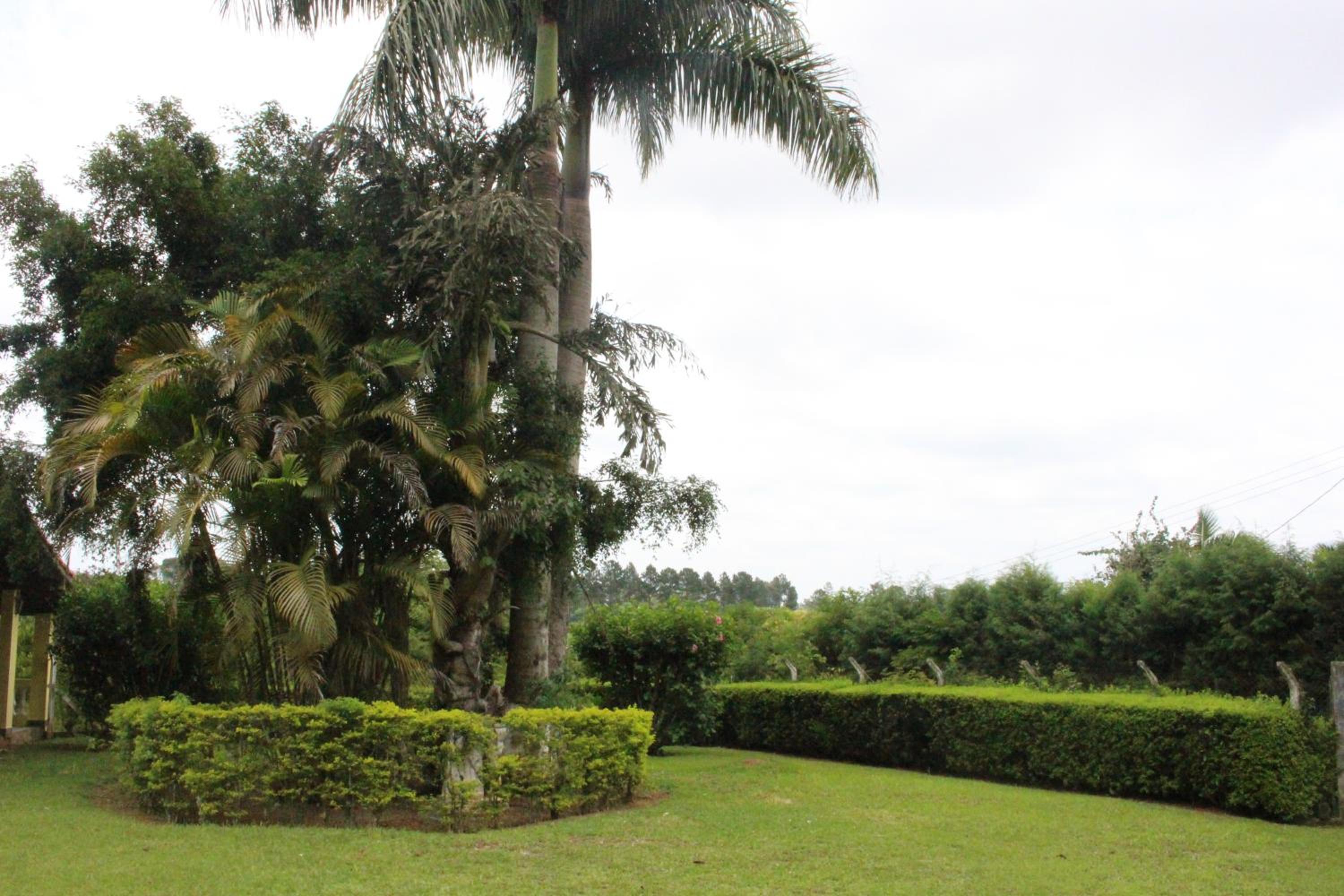 Casa de Campo Lazer Completo Paraíso de Reservas Naturais em Sp