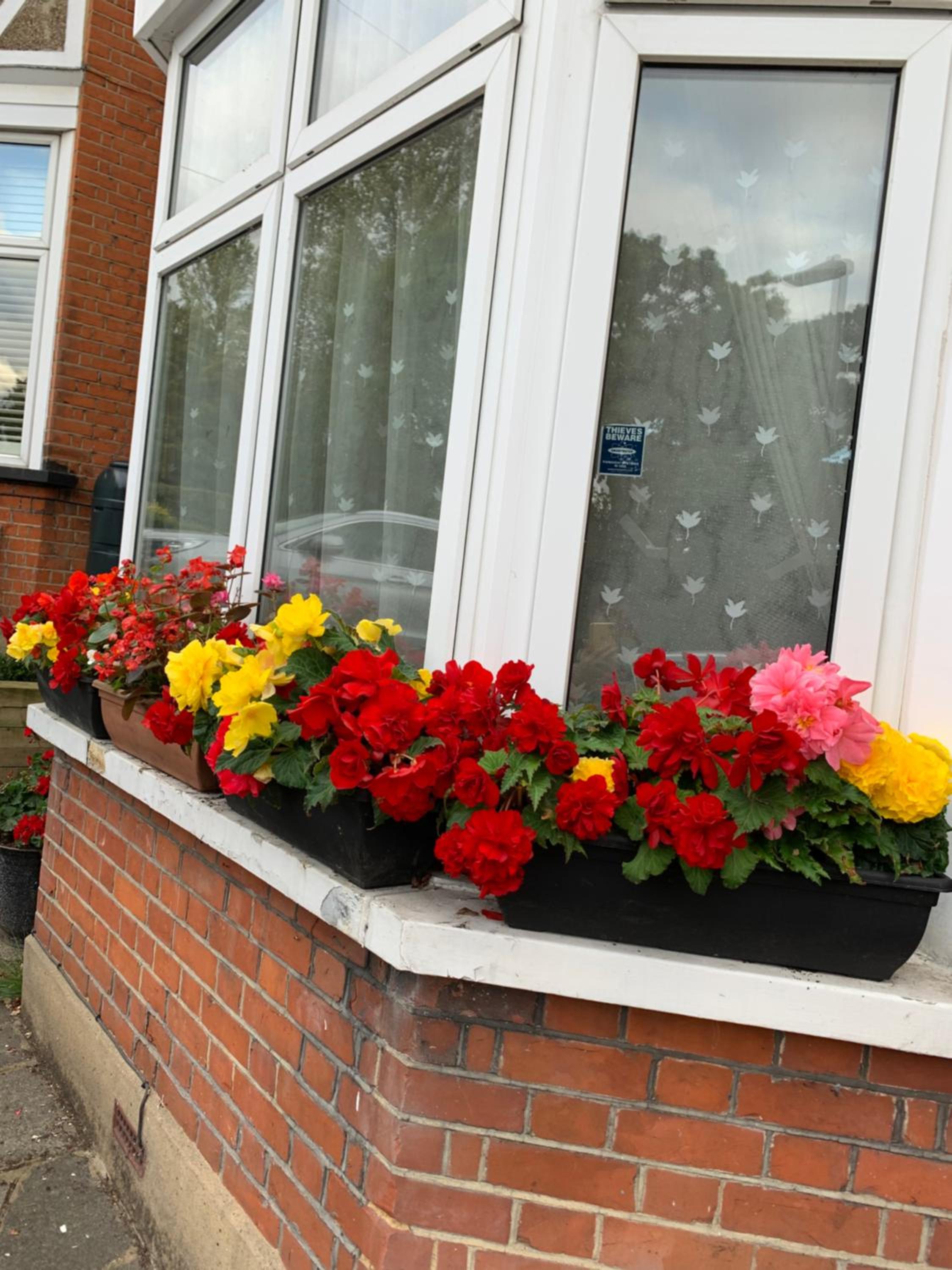 38 Whitehall Road