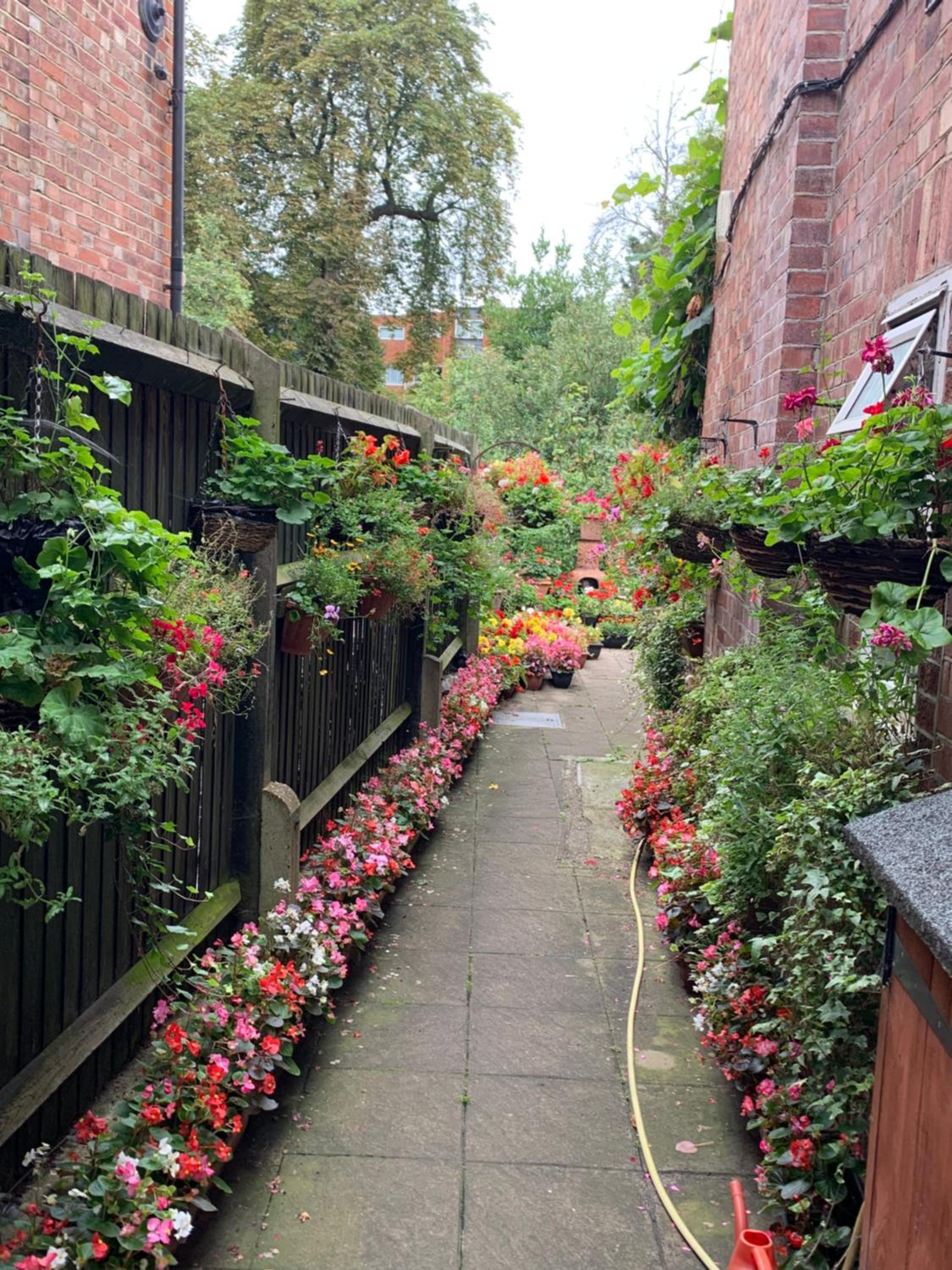 38 Whitehall Road