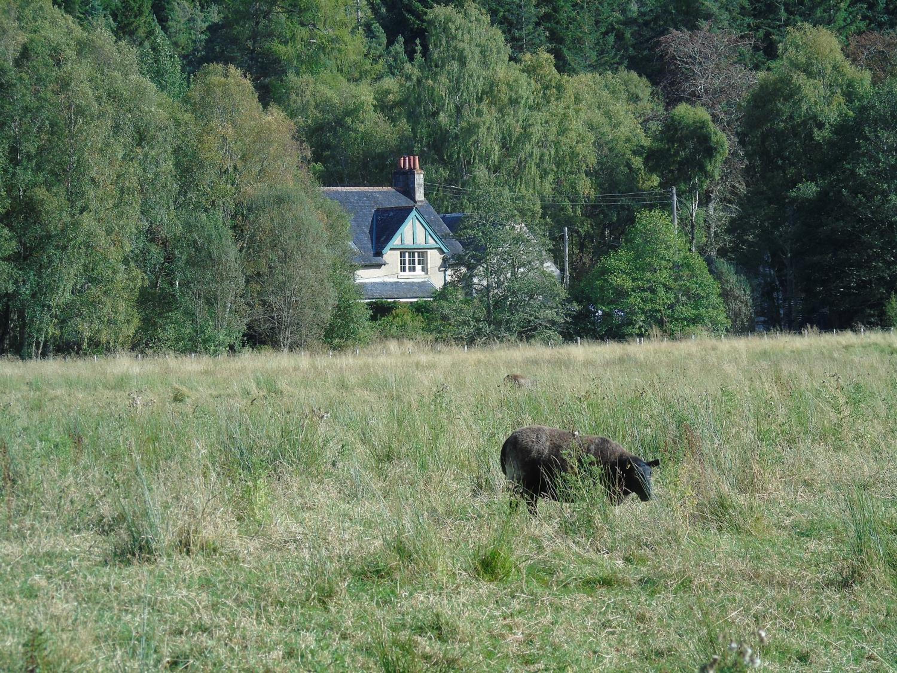 Photo 23