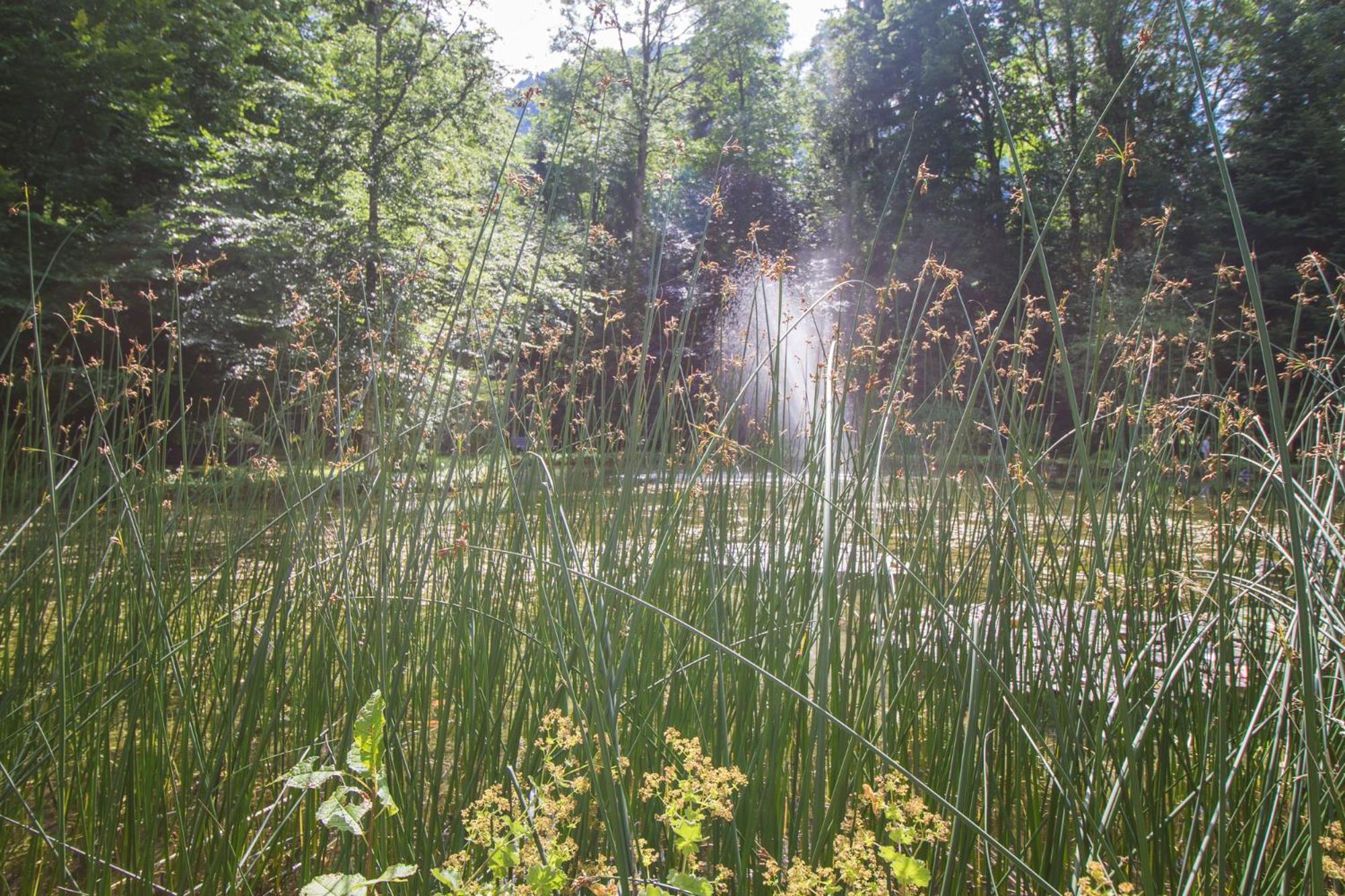 Schlosspark Grubhof - Mitterer