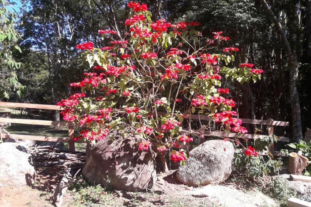 Rancho Pedra Preta