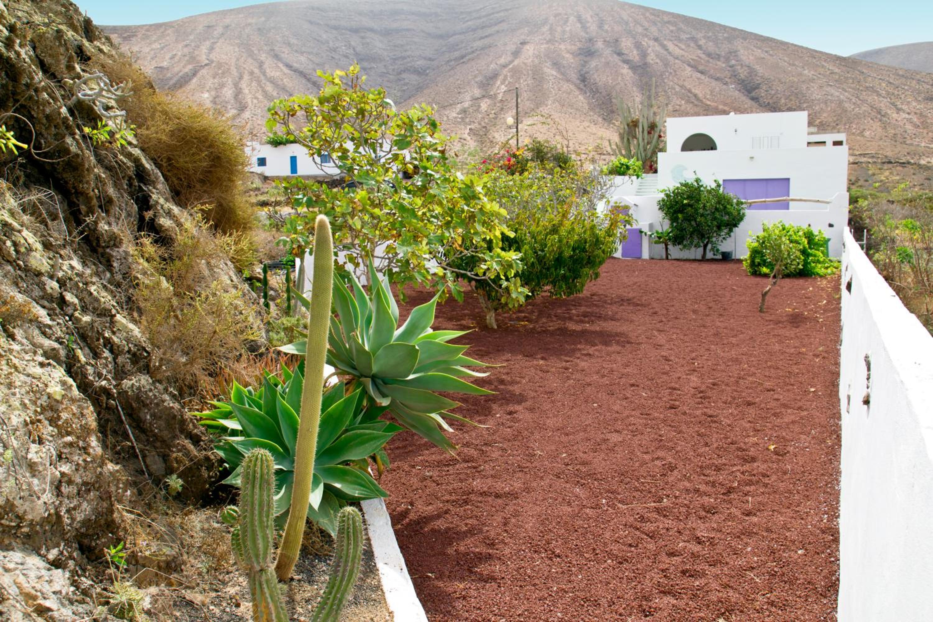 Villa Tranquila view 4