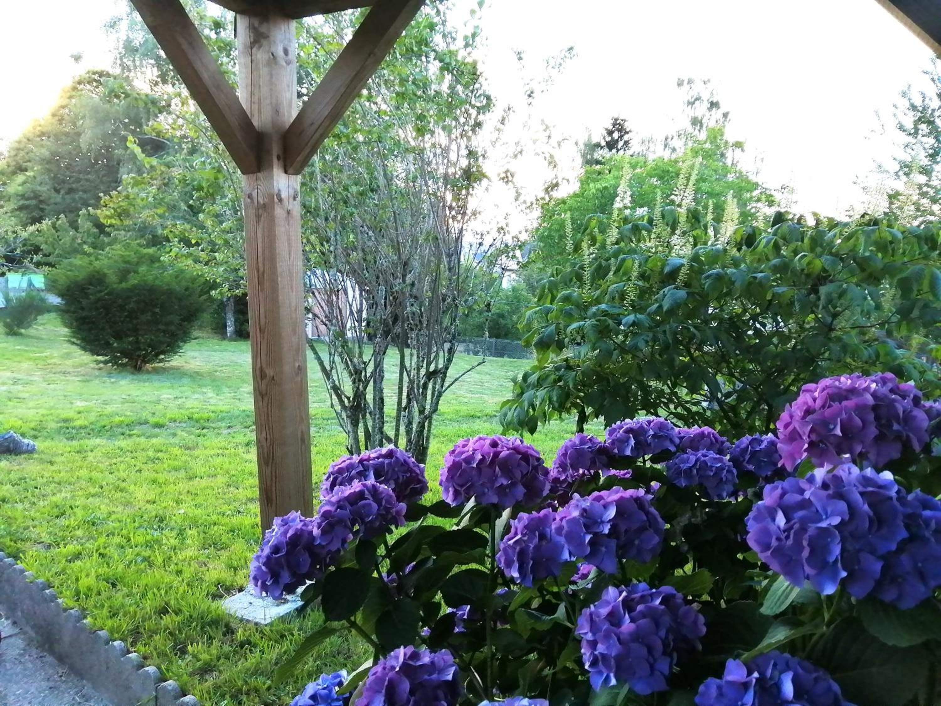 Le petit nid view 4