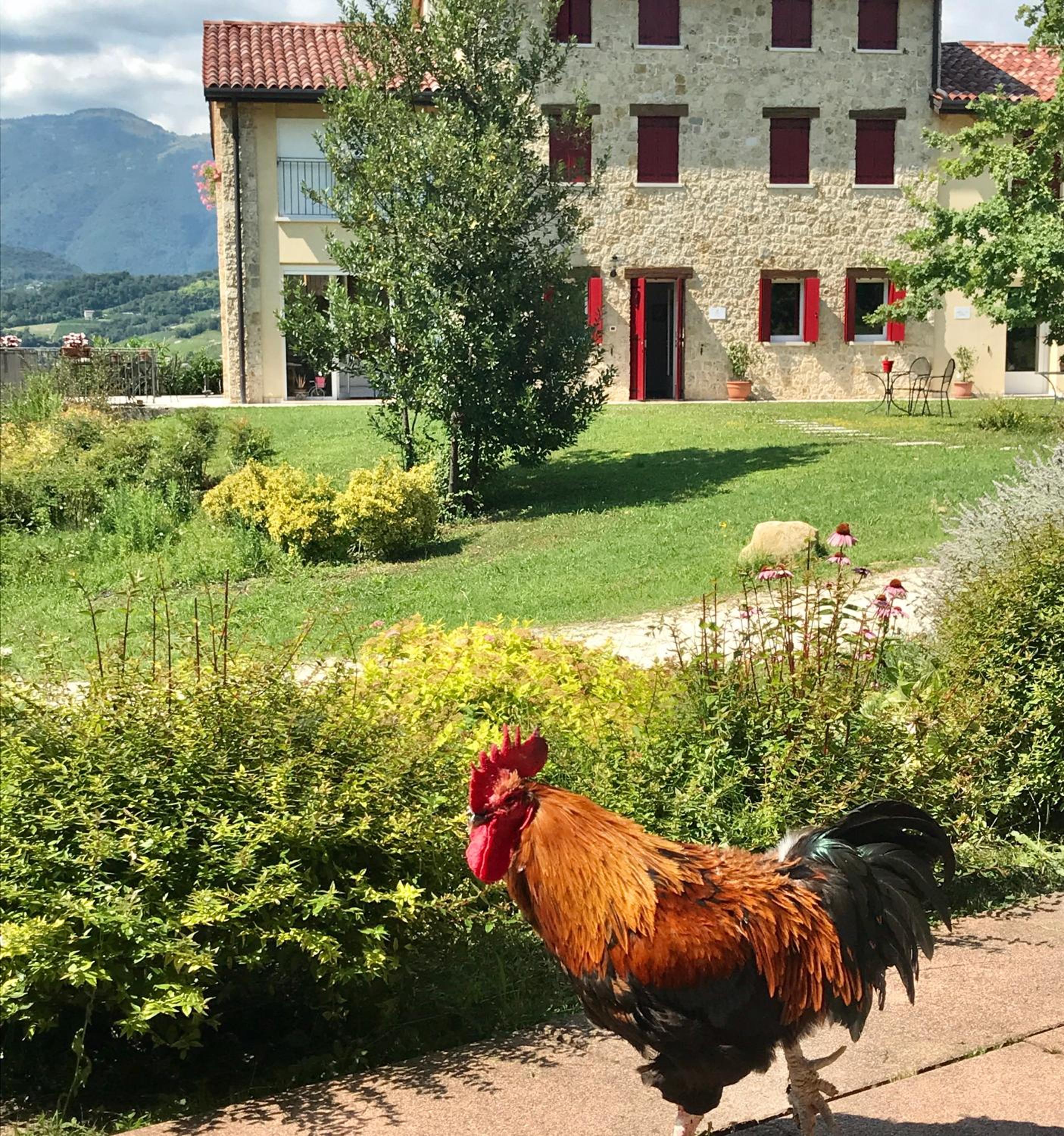 Agriturismo Lemire view 2