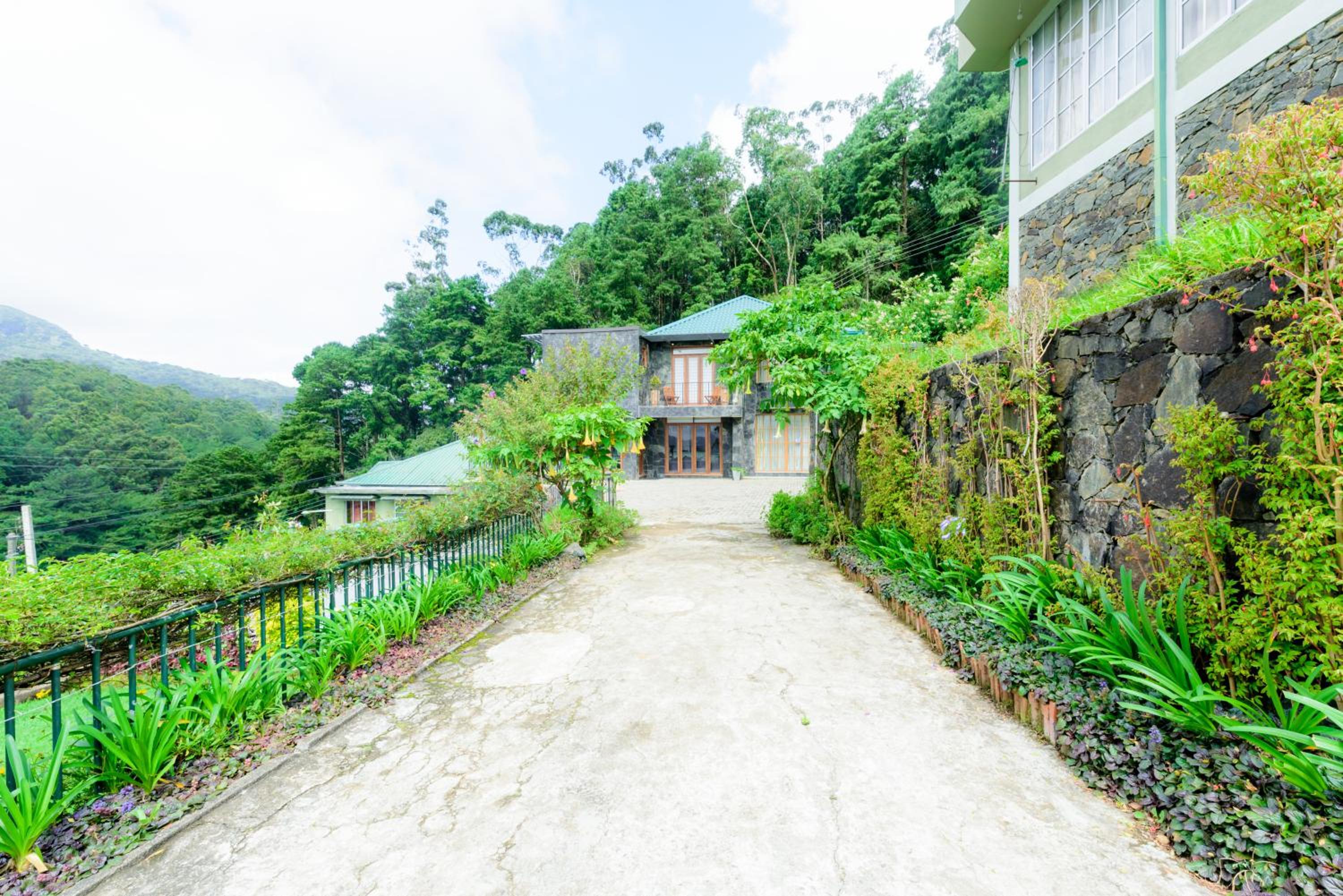 HummingBird Hill Cottage view 5