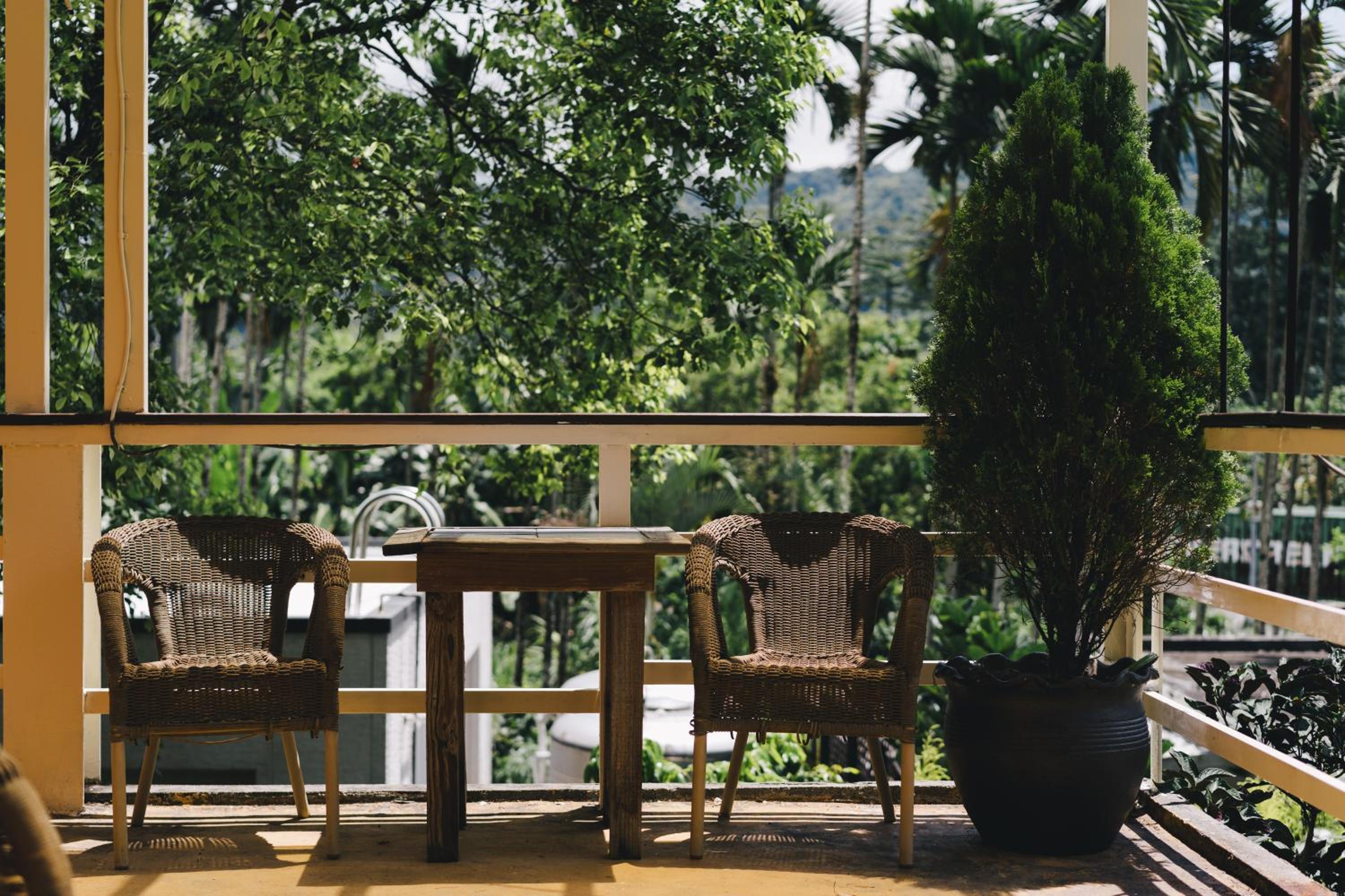 balance & terrace