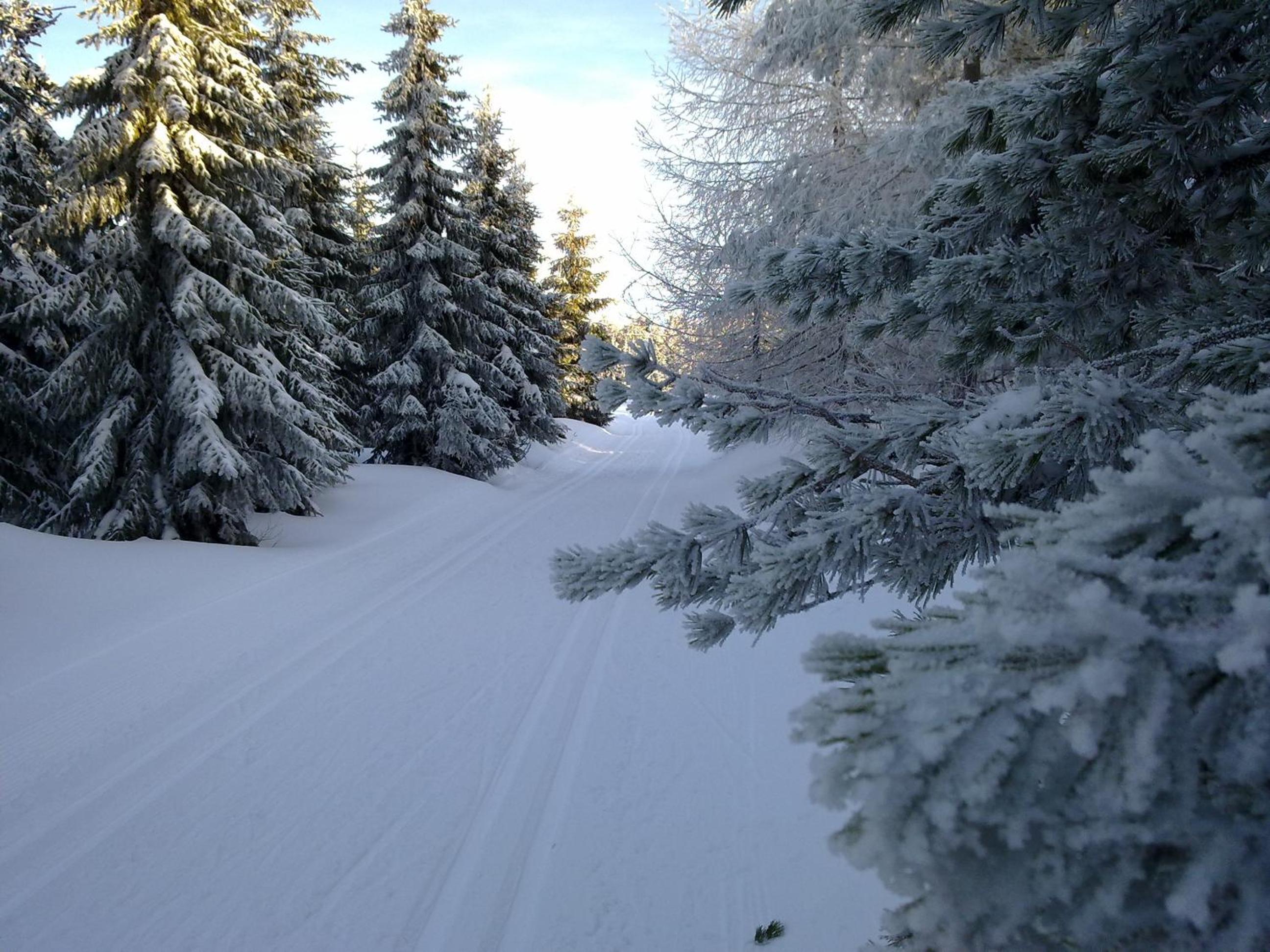 Landpension Wandersruh