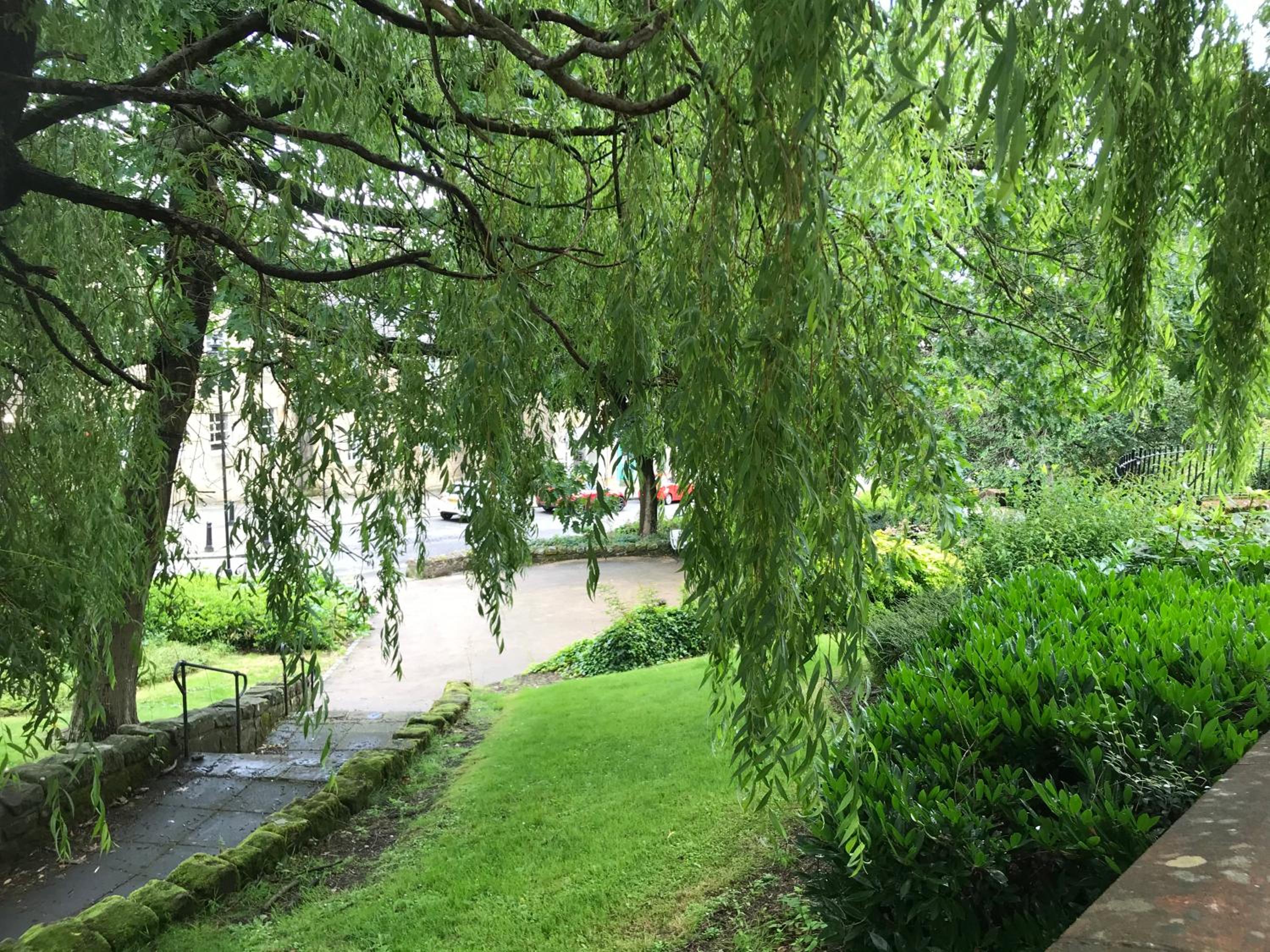 Photo 27