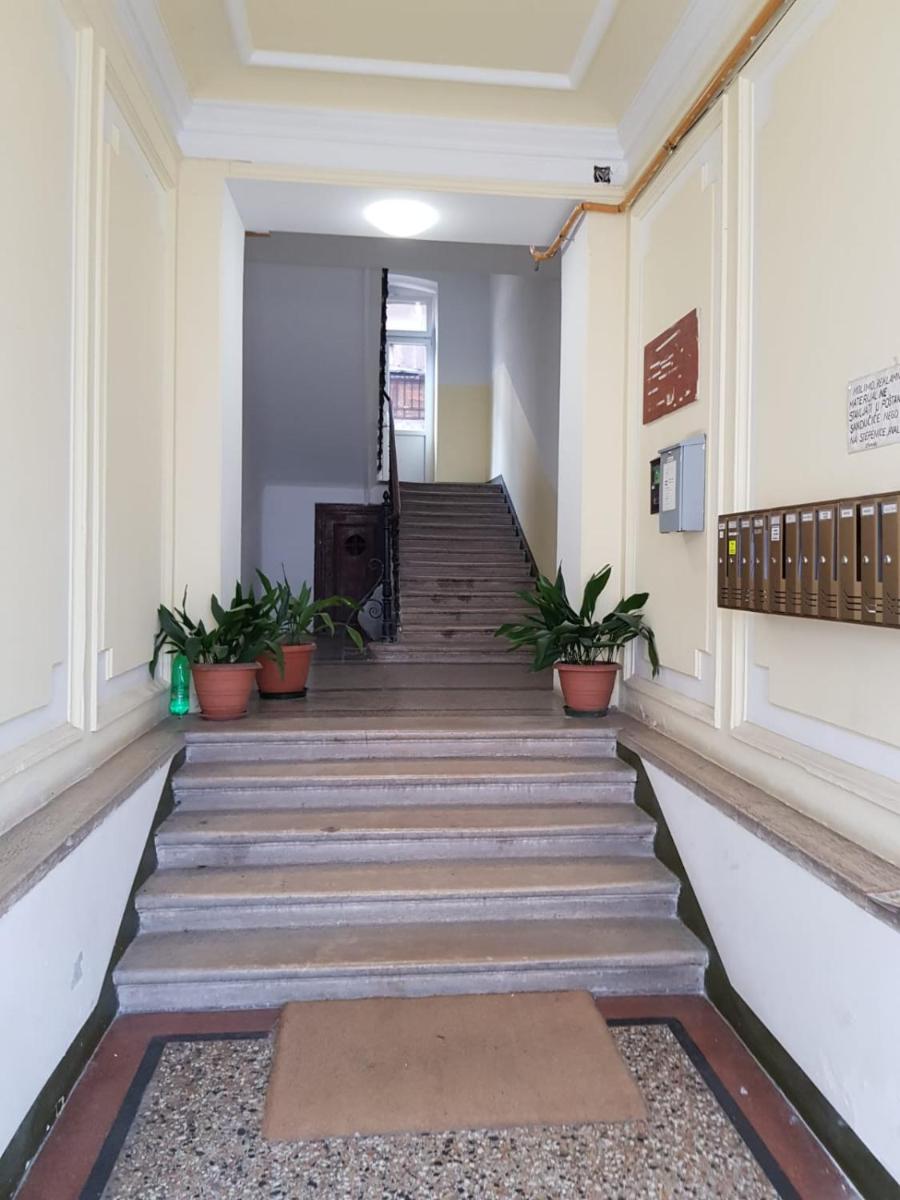 Photo 51
