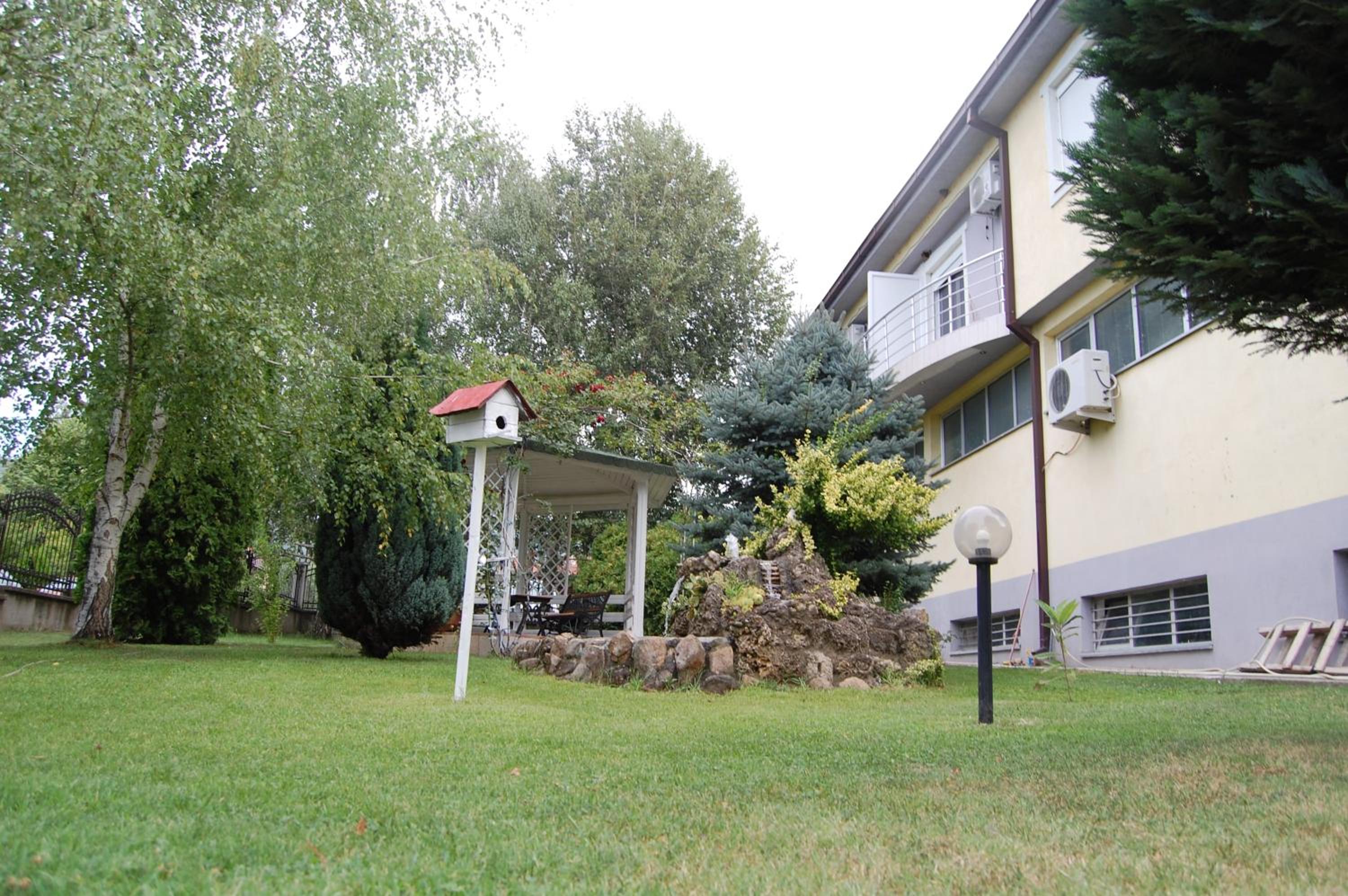 Photo 11