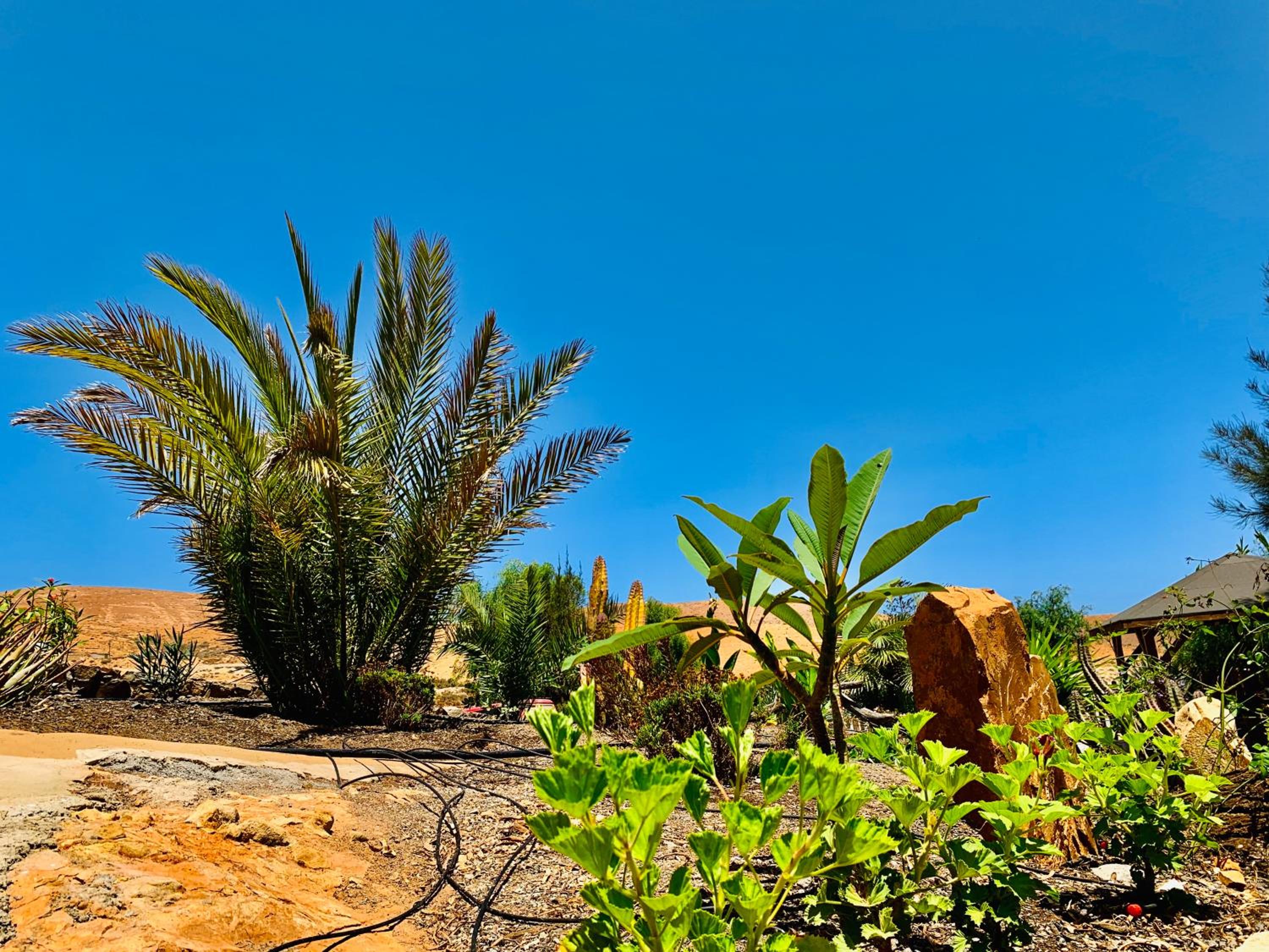 Villa Margarita view 4