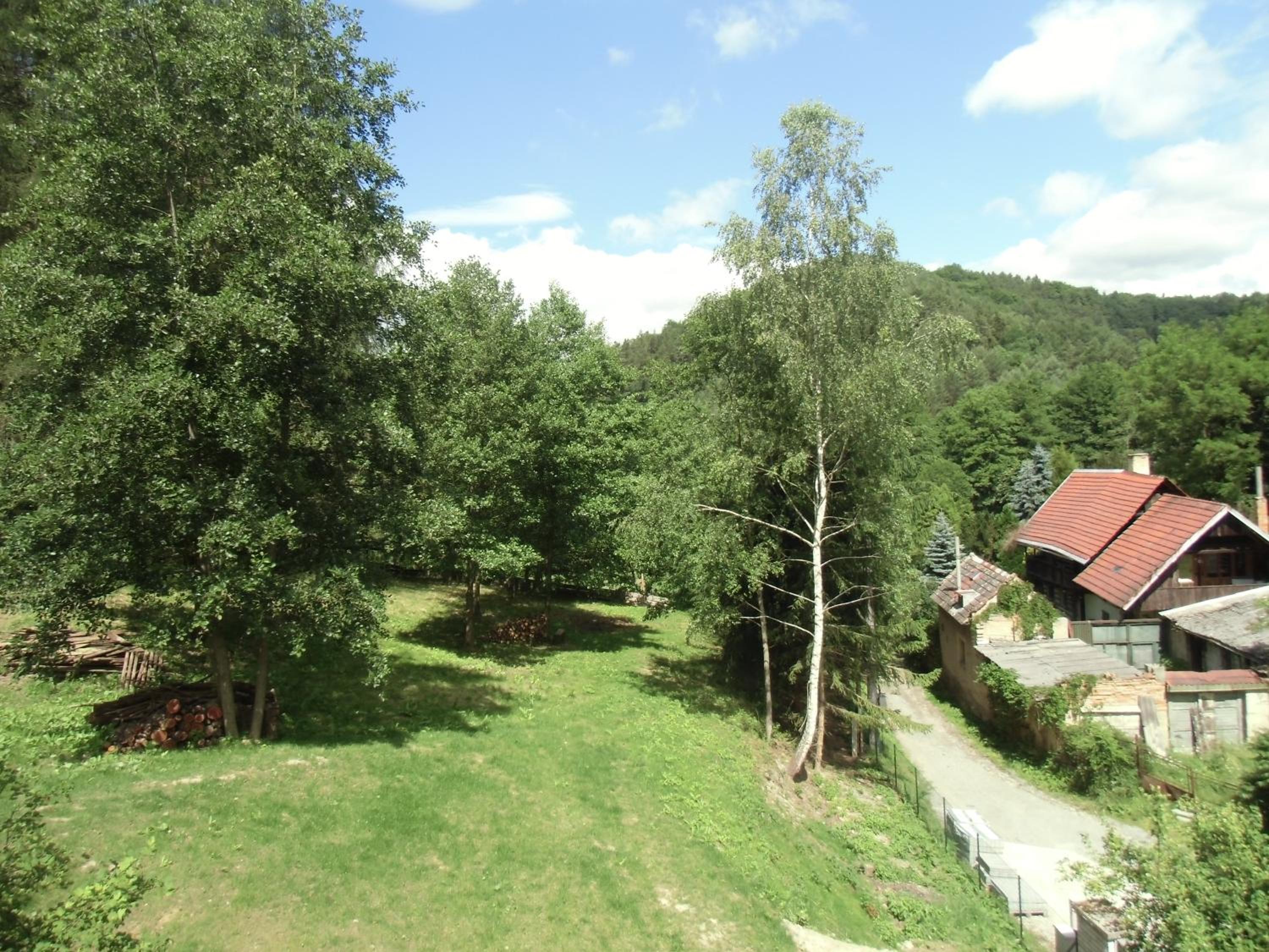 Photo 7