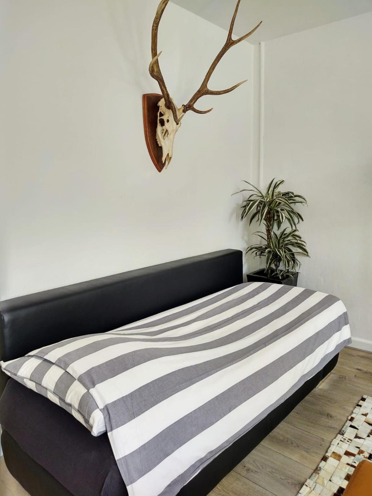 Jordaan Canal View Apartment