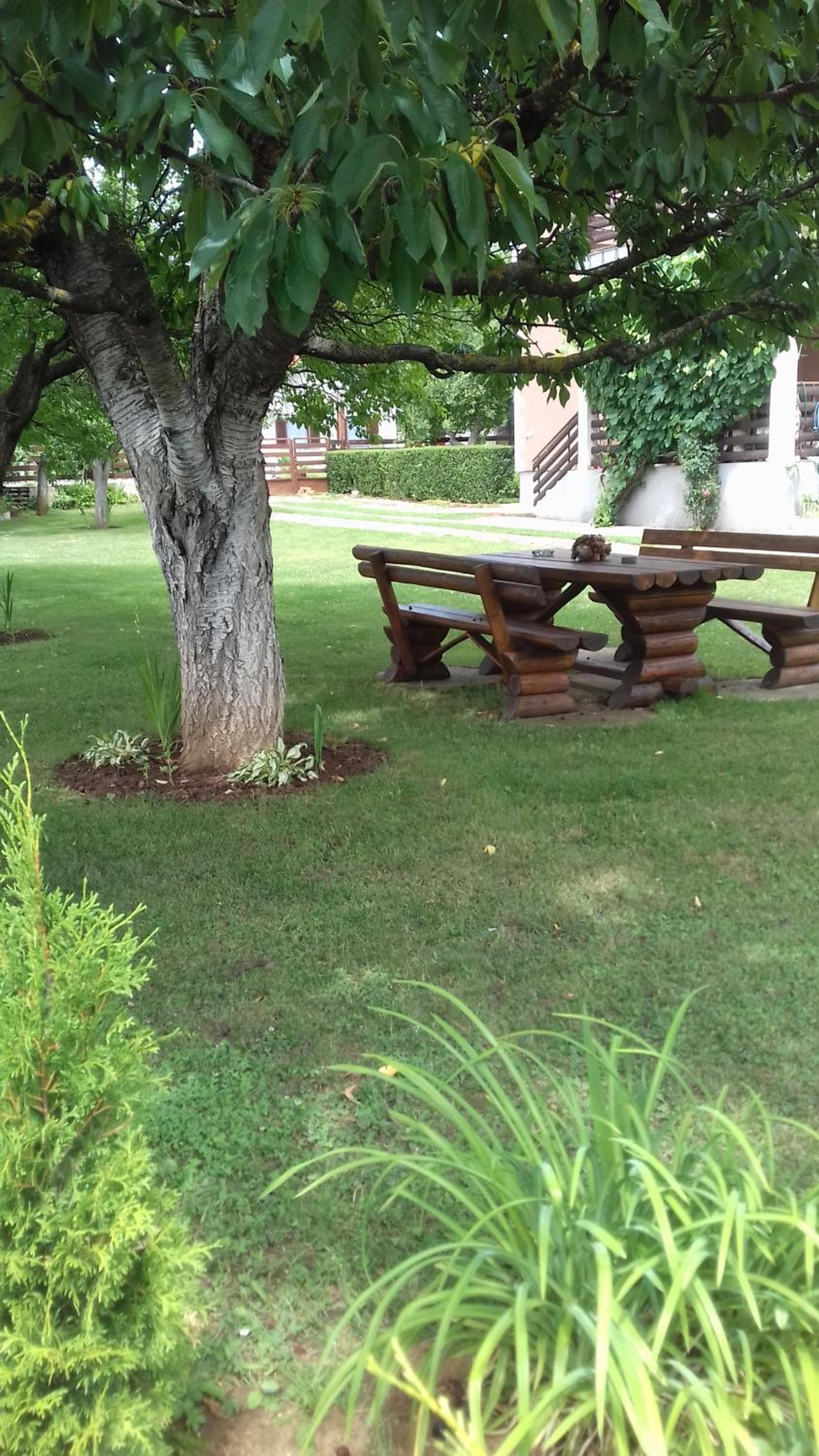 Photo 6