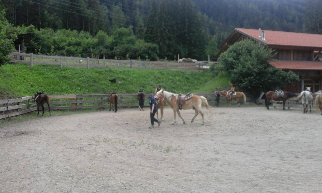 Photo 43