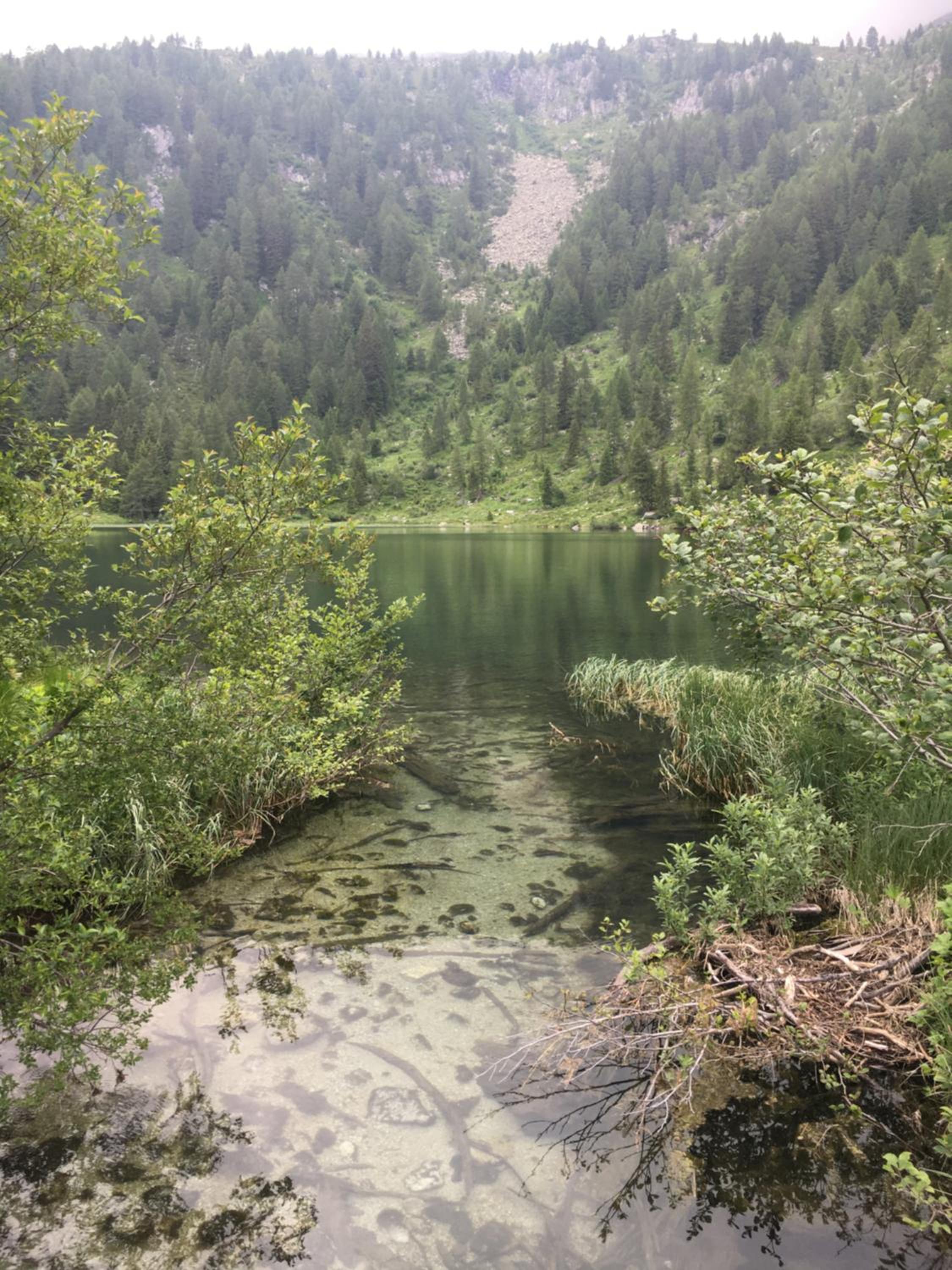 Photo 47