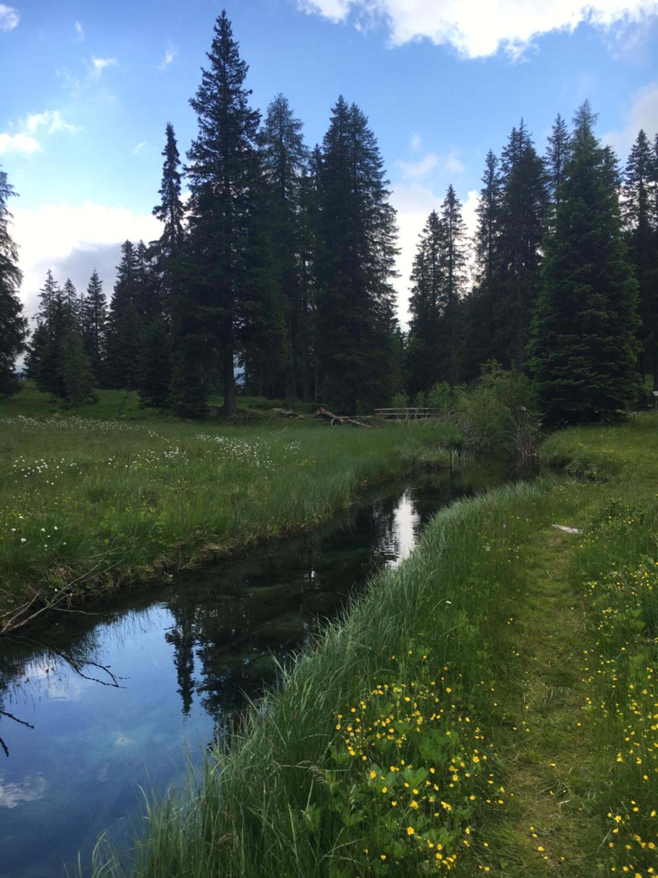 Photo 46