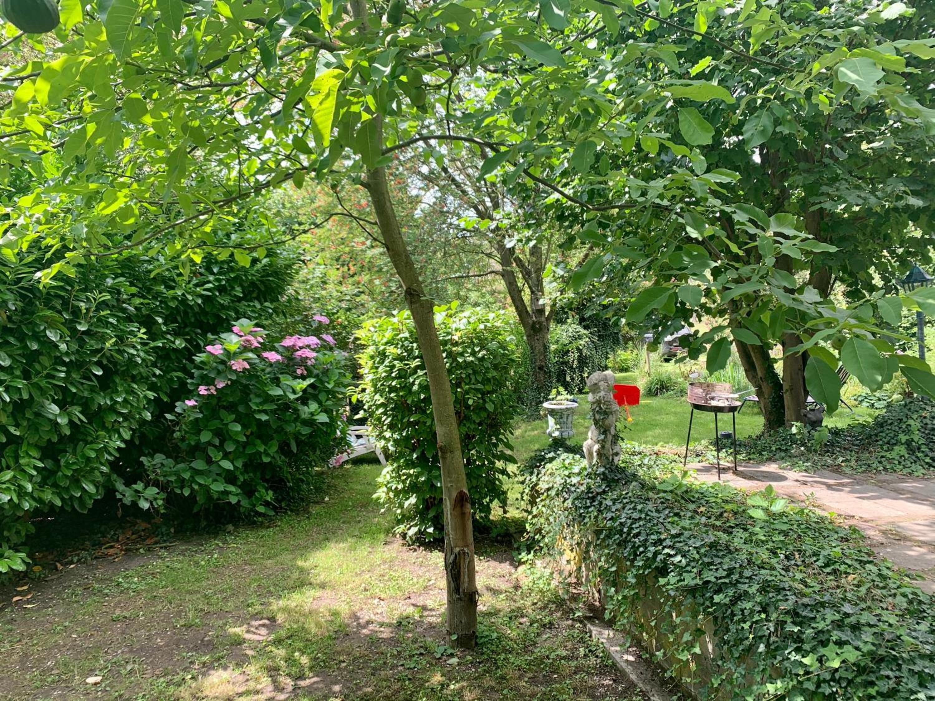 Nieuwhuis Nuth view 4