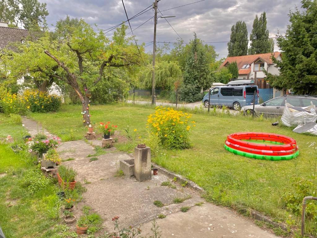 lovely house for relaxing trips