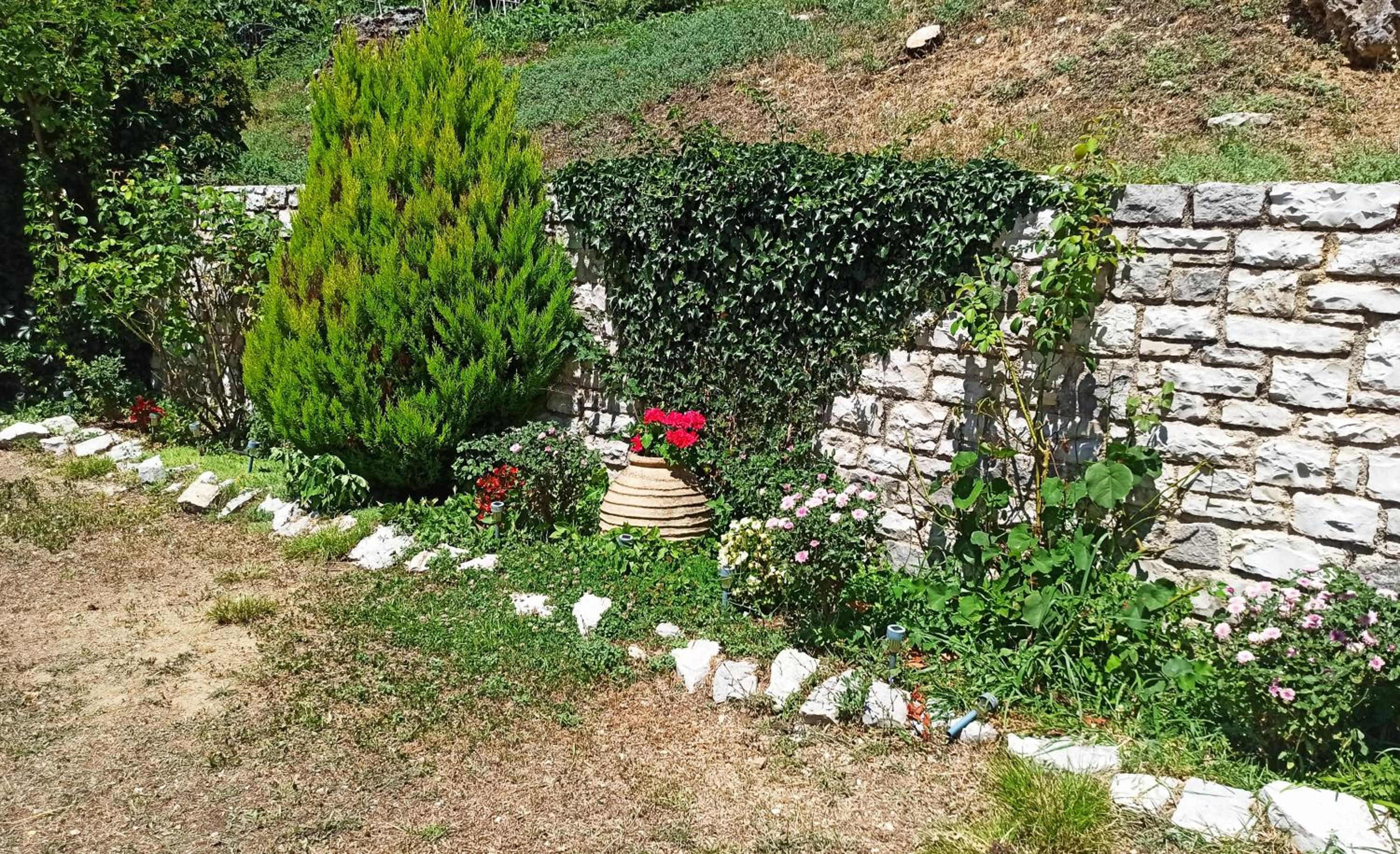 Photo 34