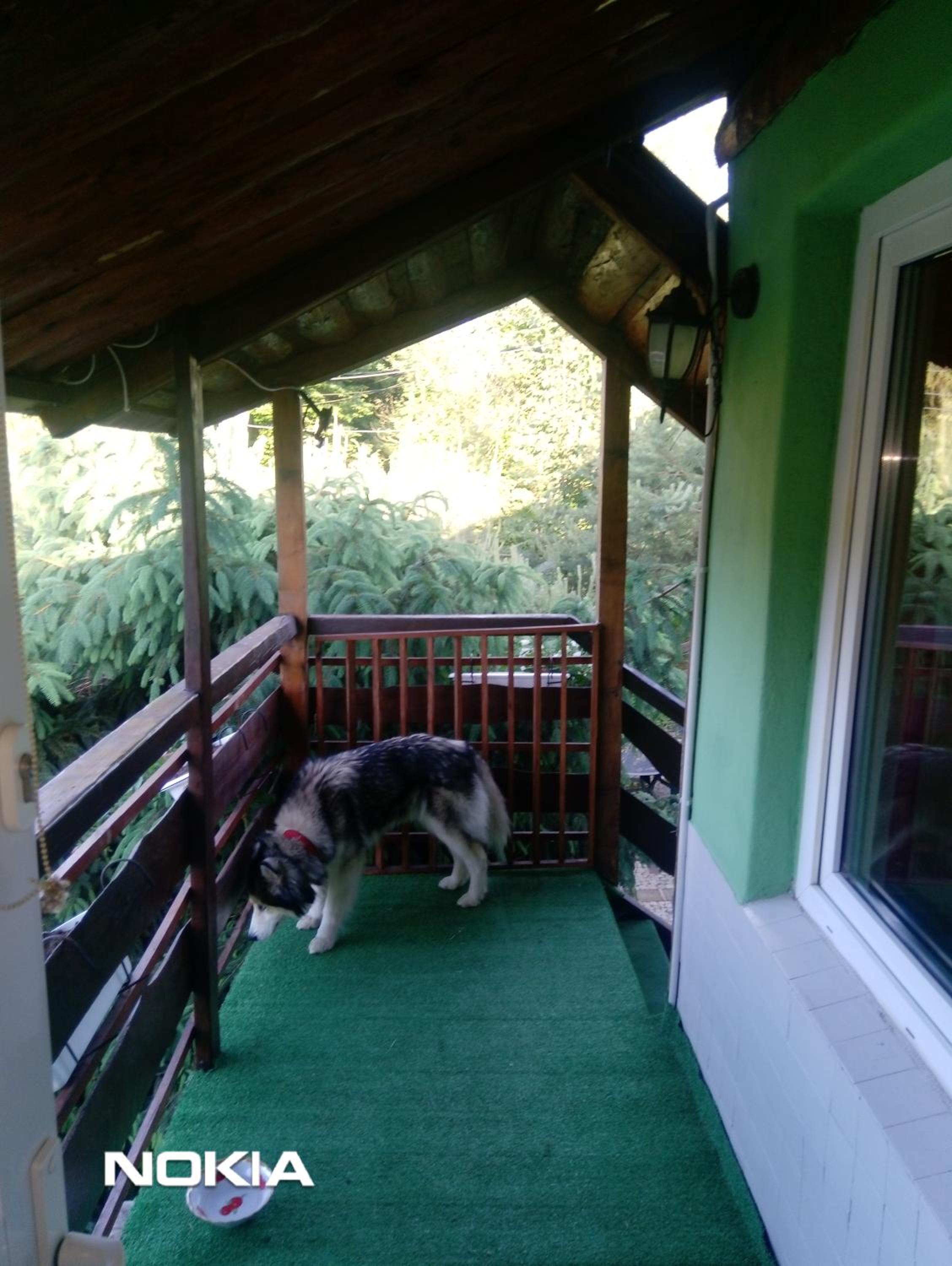 Apartament z ogrodem - Wiejska Chata, photo 10