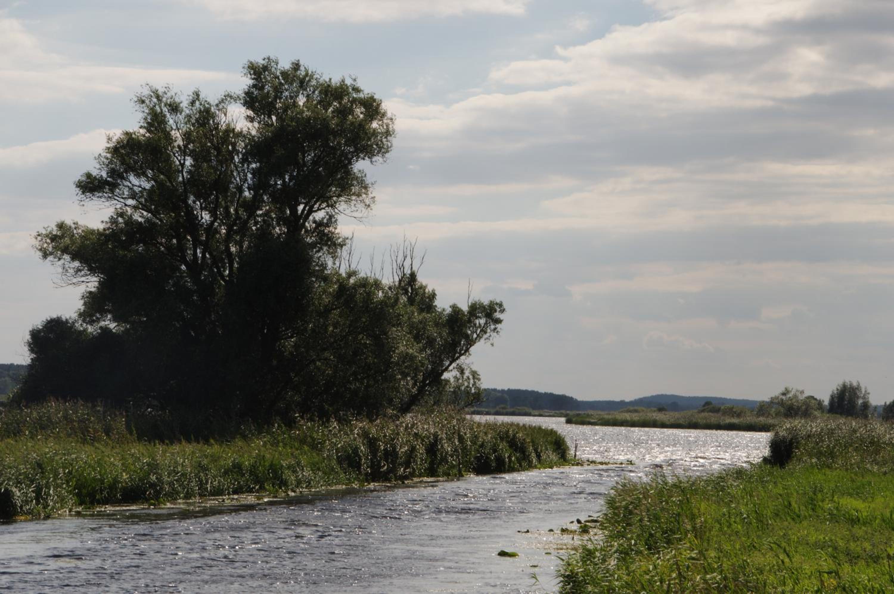 Finnhütten Waldesruh