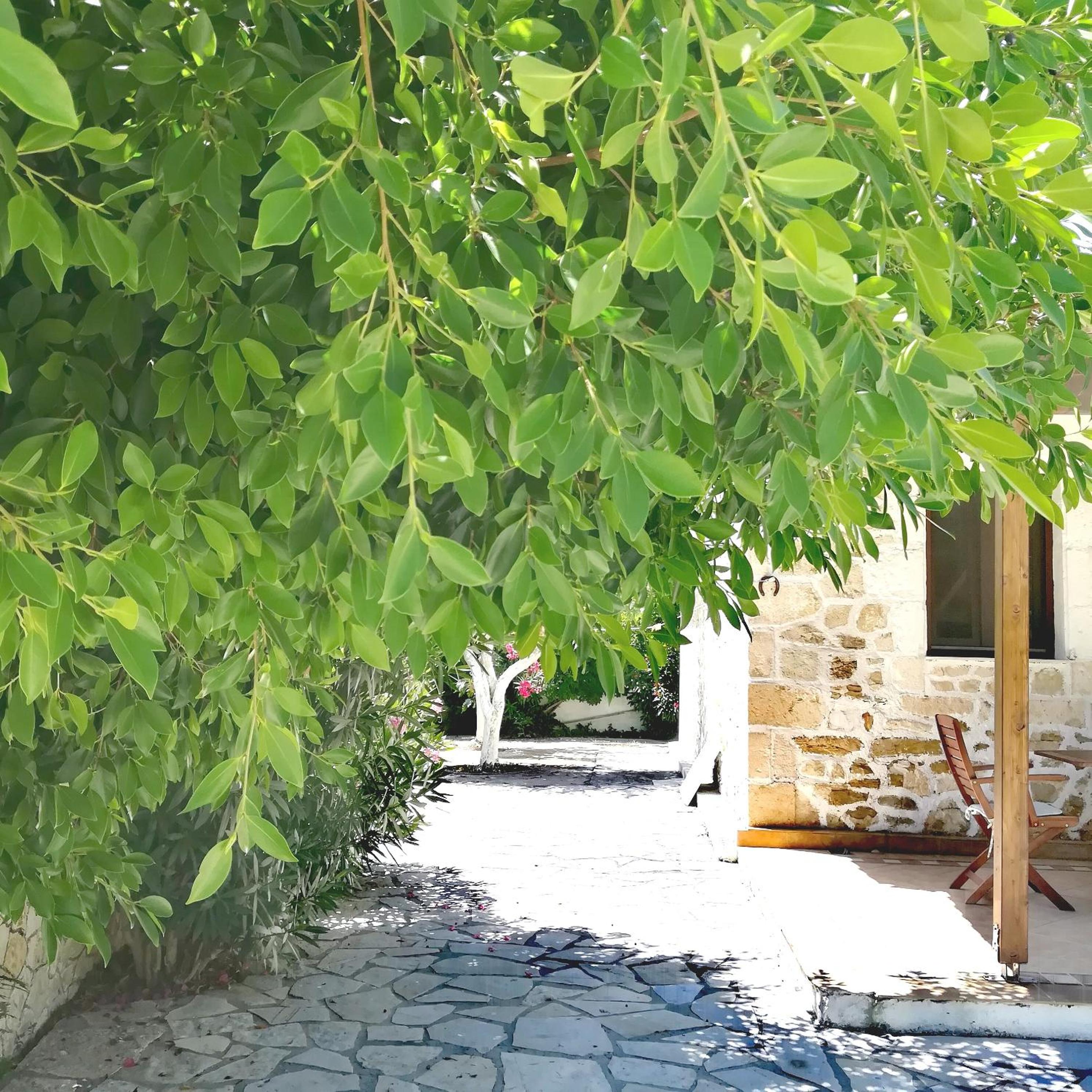 Irini Studios