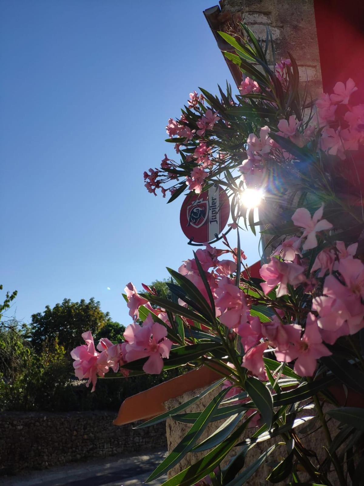 Chez Laurette