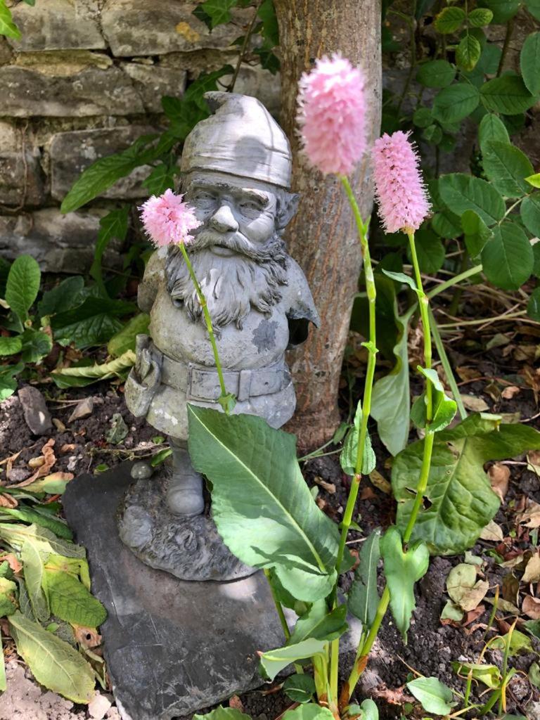 Photo 26