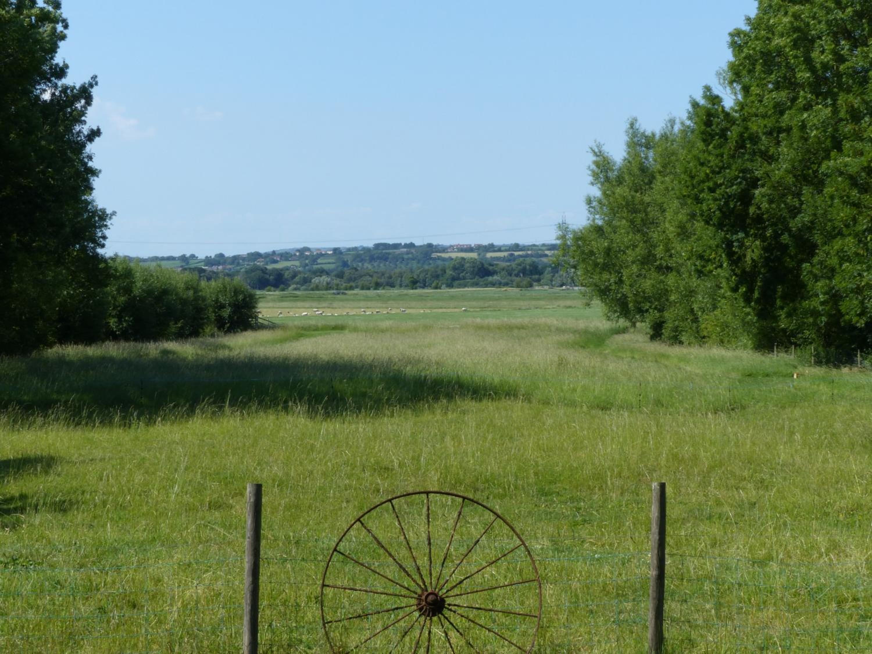 Photo 18